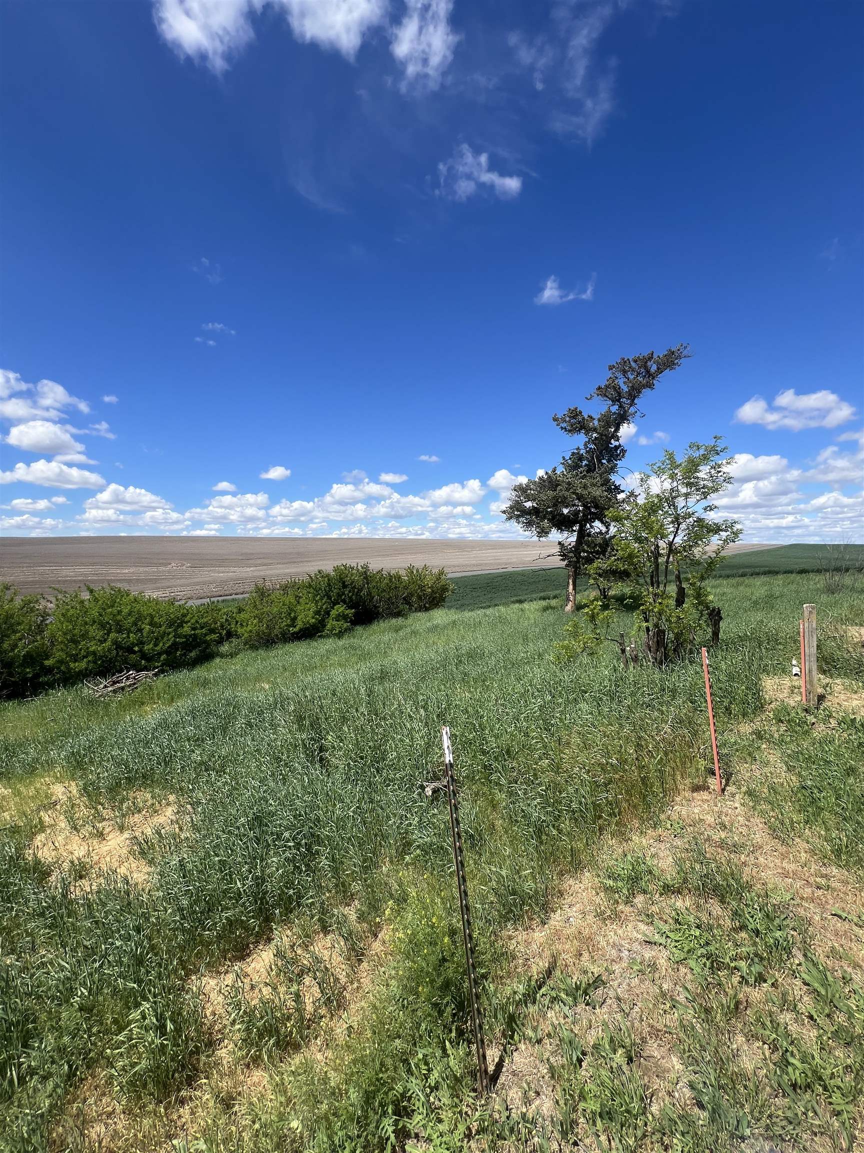 1225 Marcellus Rd - Photo 34