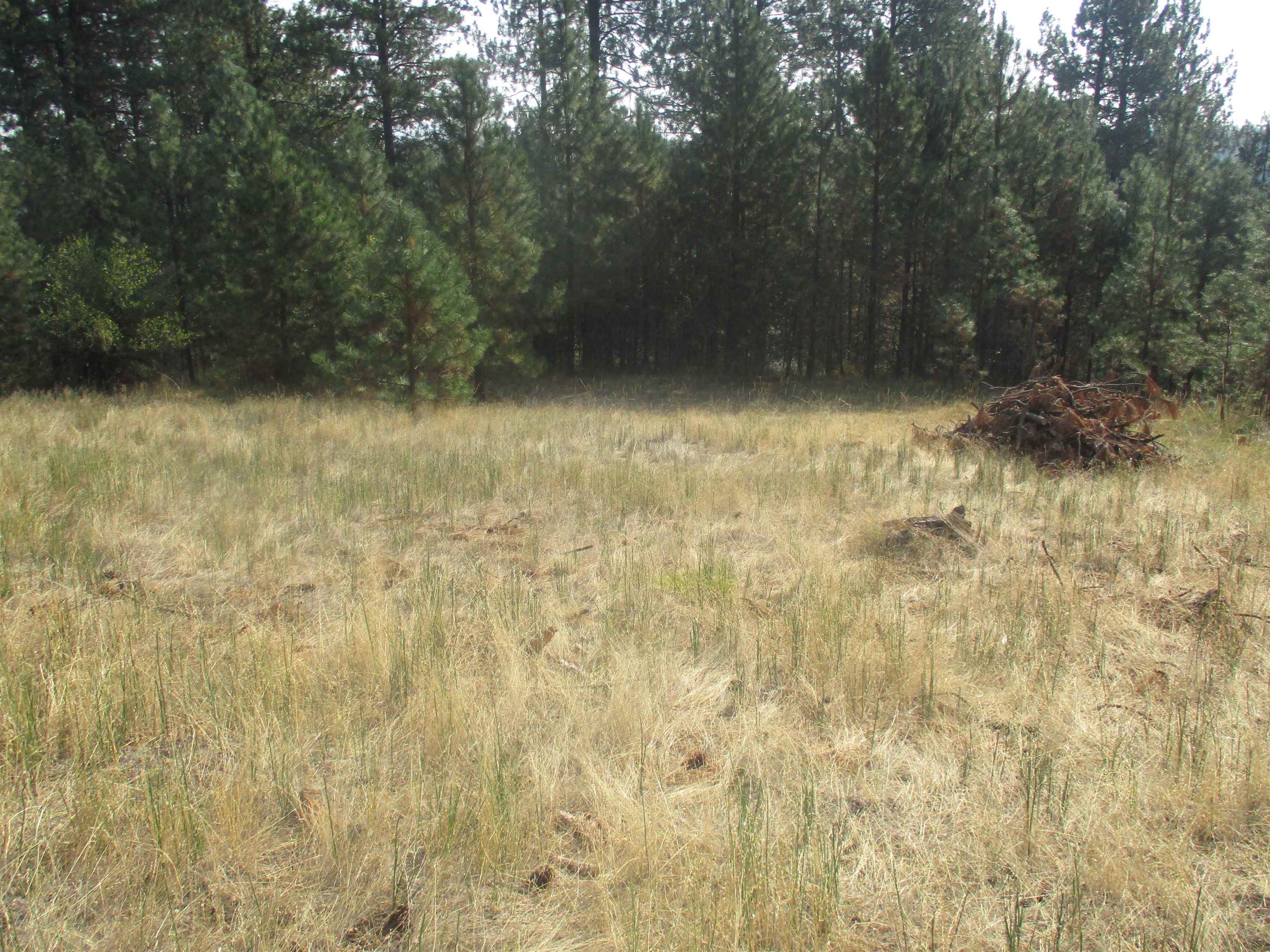 Unassigned UNASSIGNED ADDRESS XX River Estates Road Rd - Photo 2