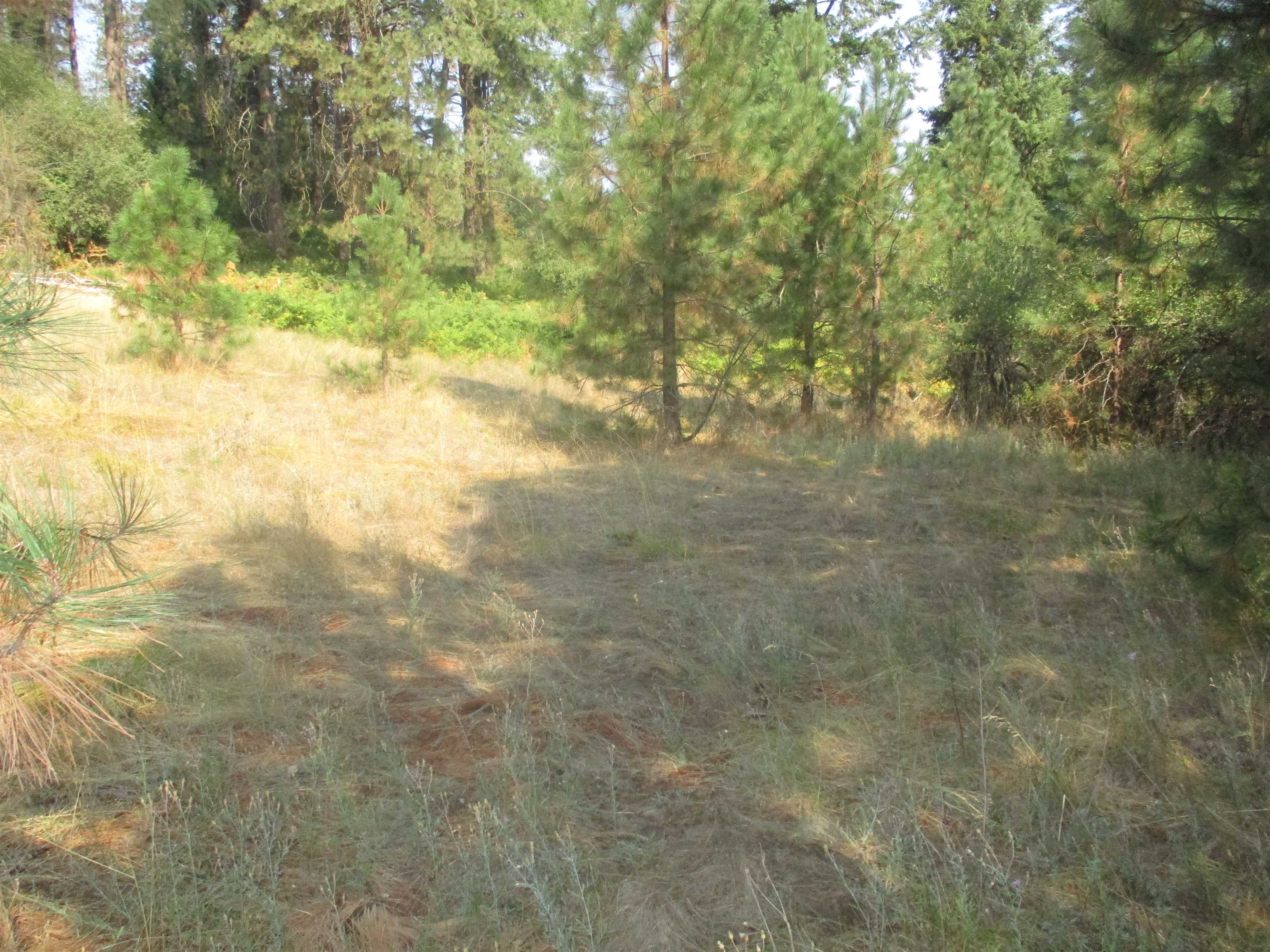 Unassigned UNASSIGNED ADDRESS XX River Estates Road Rd - Photo 5