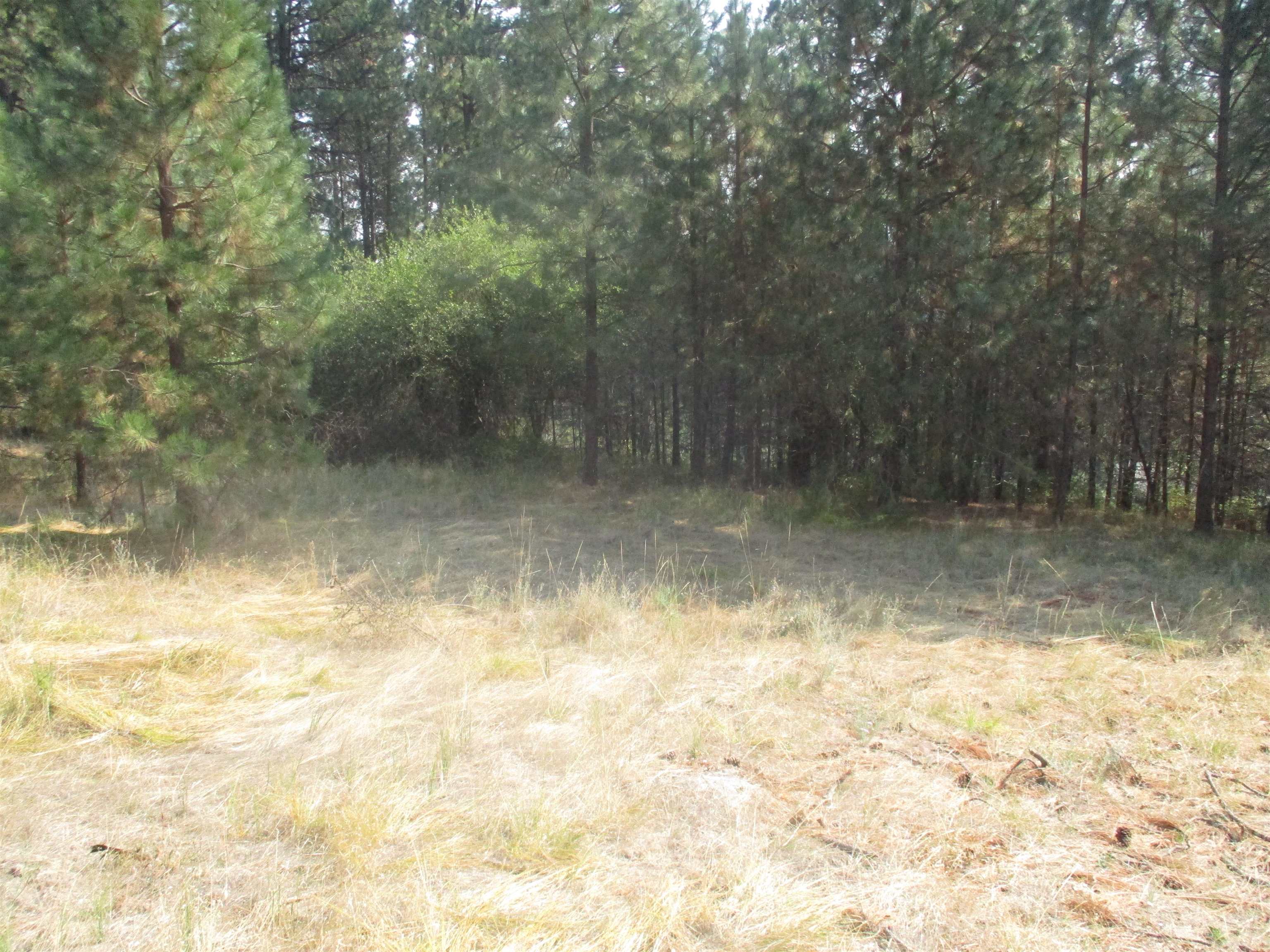Unassigned UNASSIGNED ADDRESS XX River Estates Road Rd - Photo 6