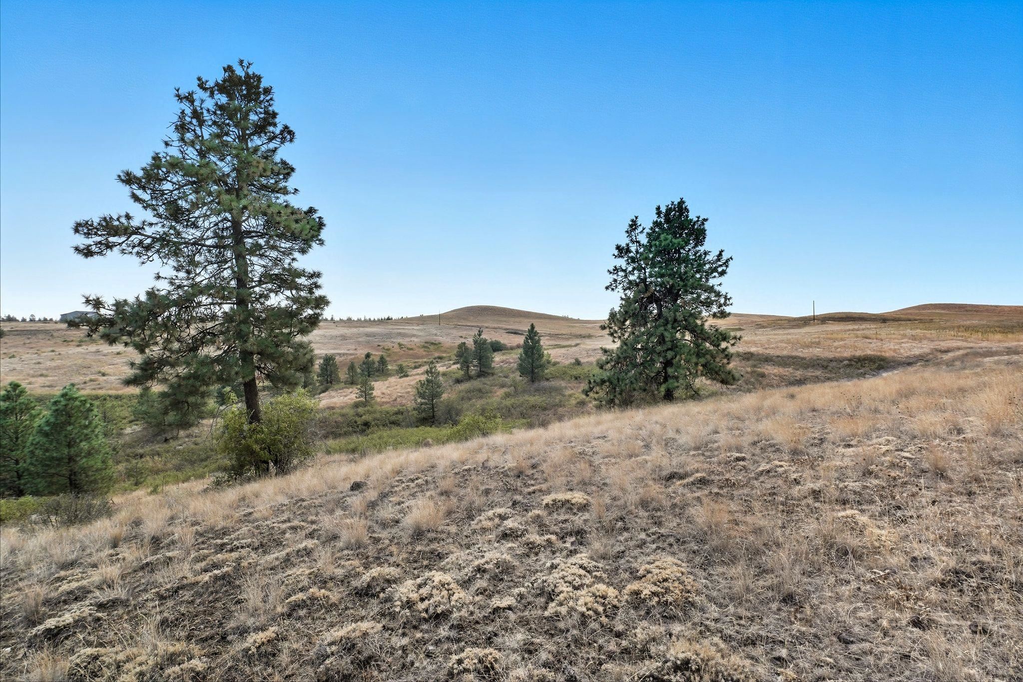 35350 N Arm View Ln - Photo 5