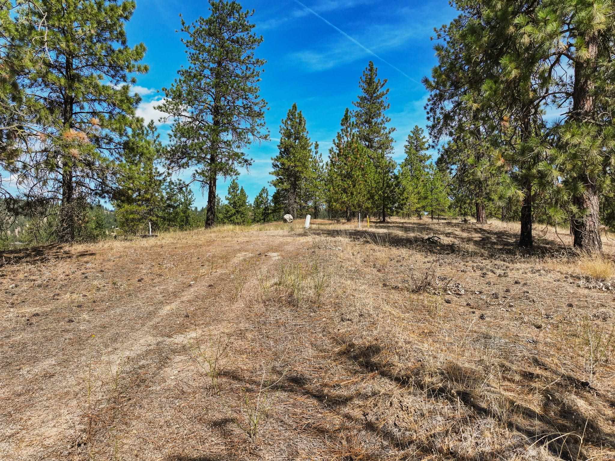 NKA N Cliff Ln - Photo 1