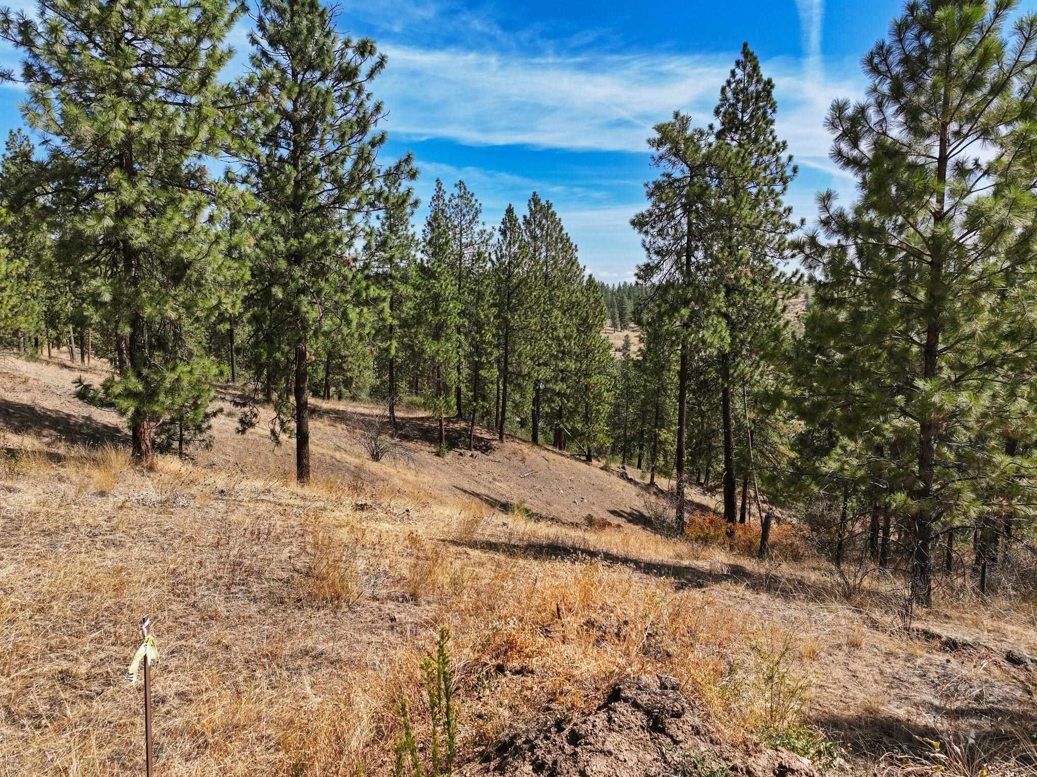 NKA N Cliff Ln - Photo 12