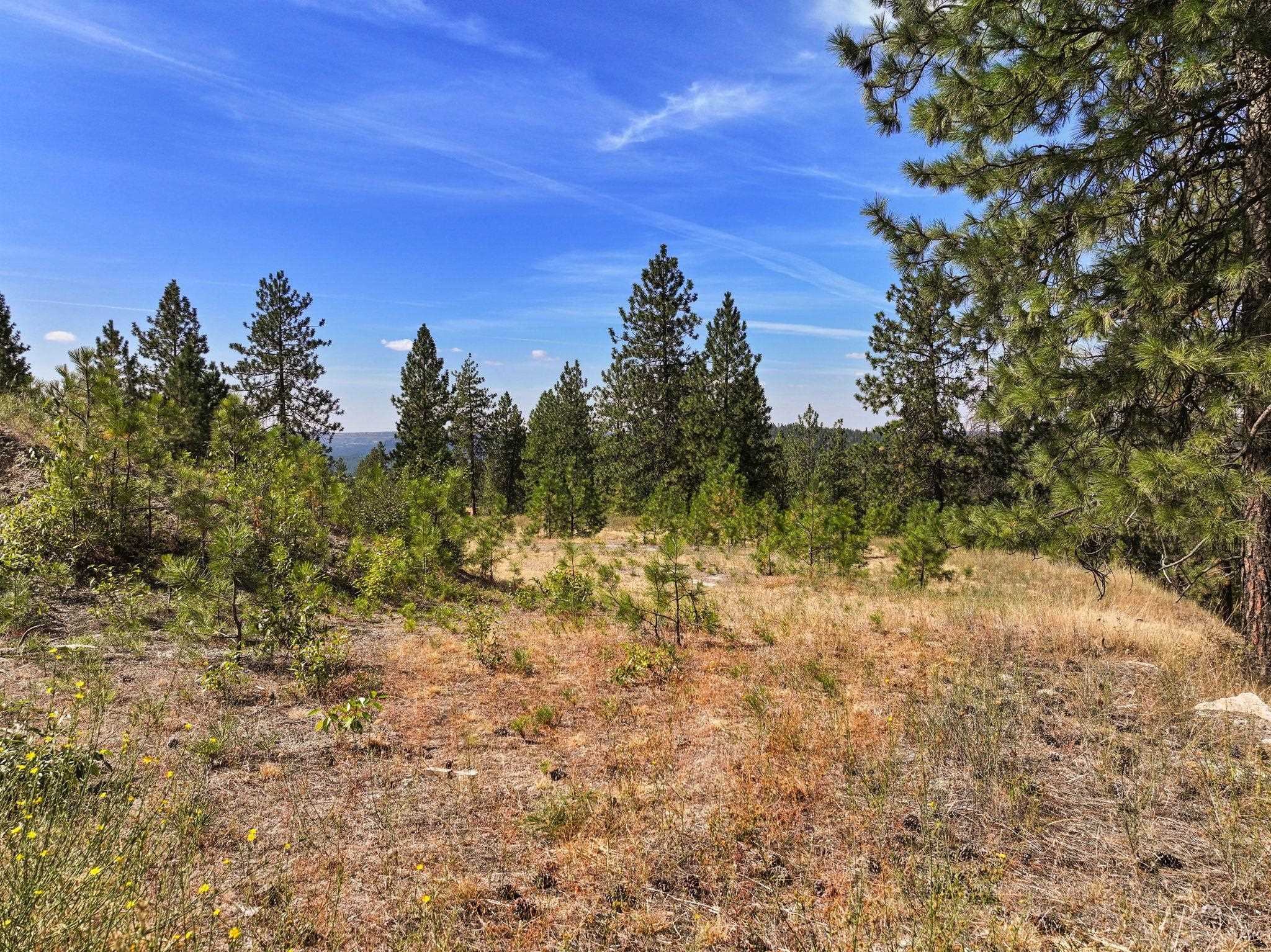 NKA N Cliff Ln - Photo 1