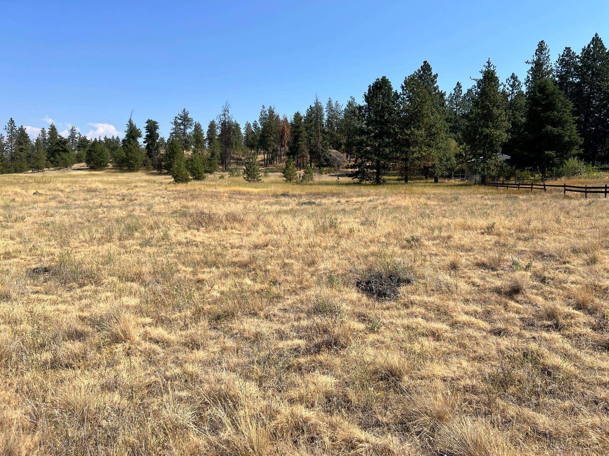 8200 W Mission Rd - Photo 19