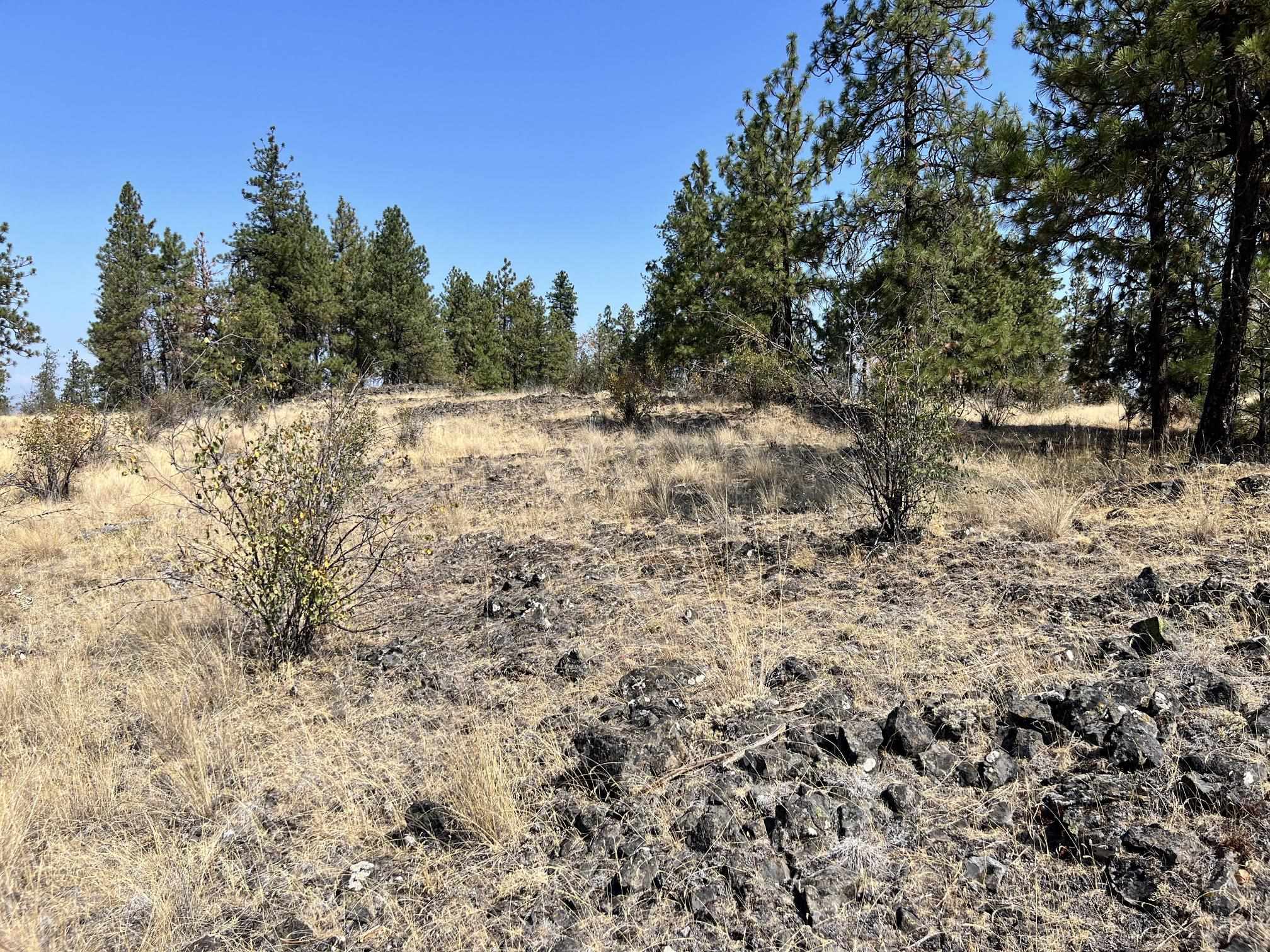 8200 W Mission Rd - Photo 3