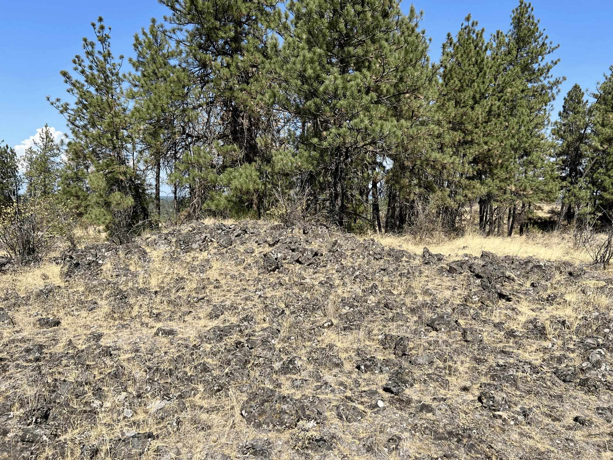 8200 W Mission Rd - Photo 8