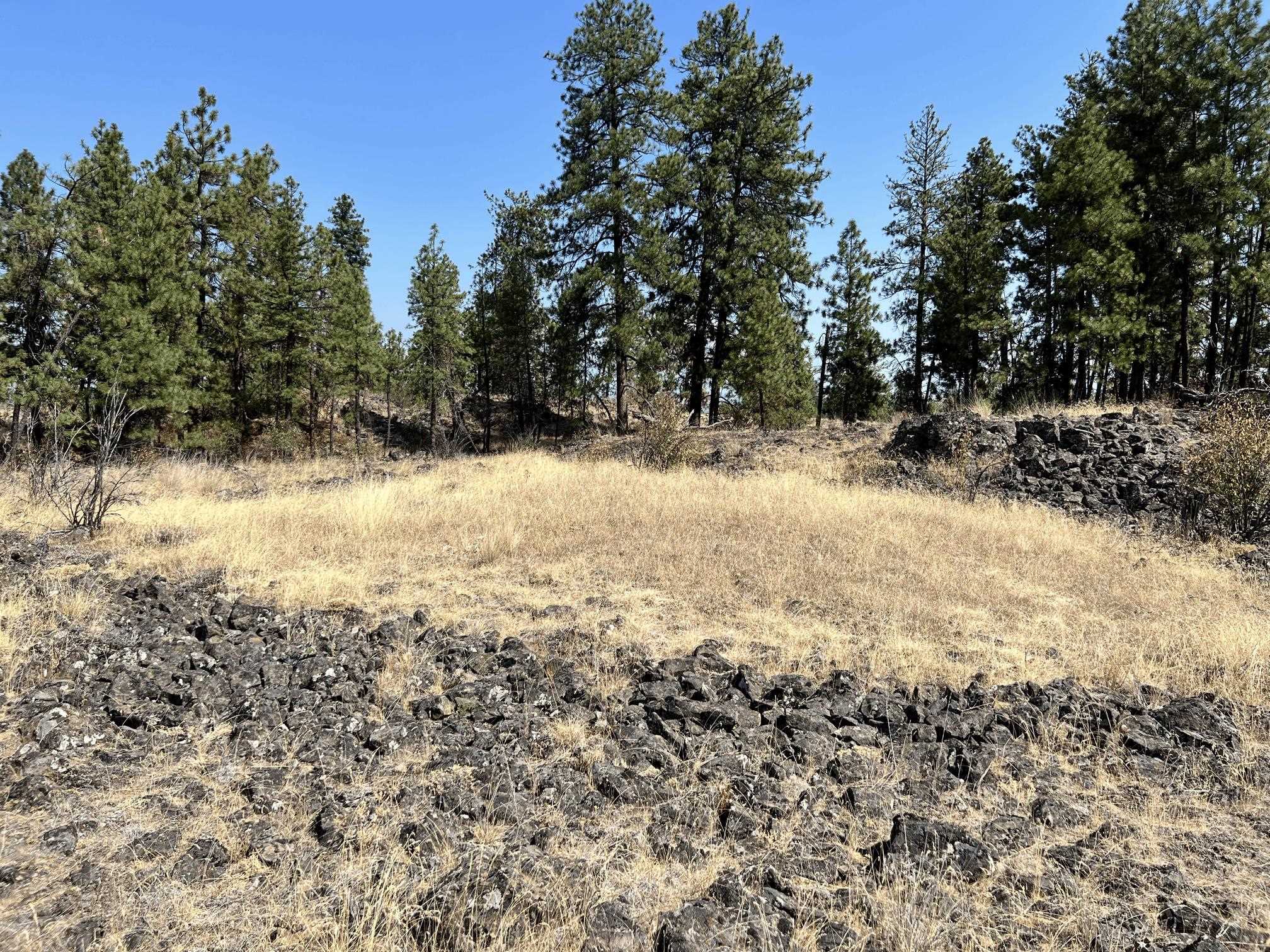 8200 W Mission Rd - Photo 9