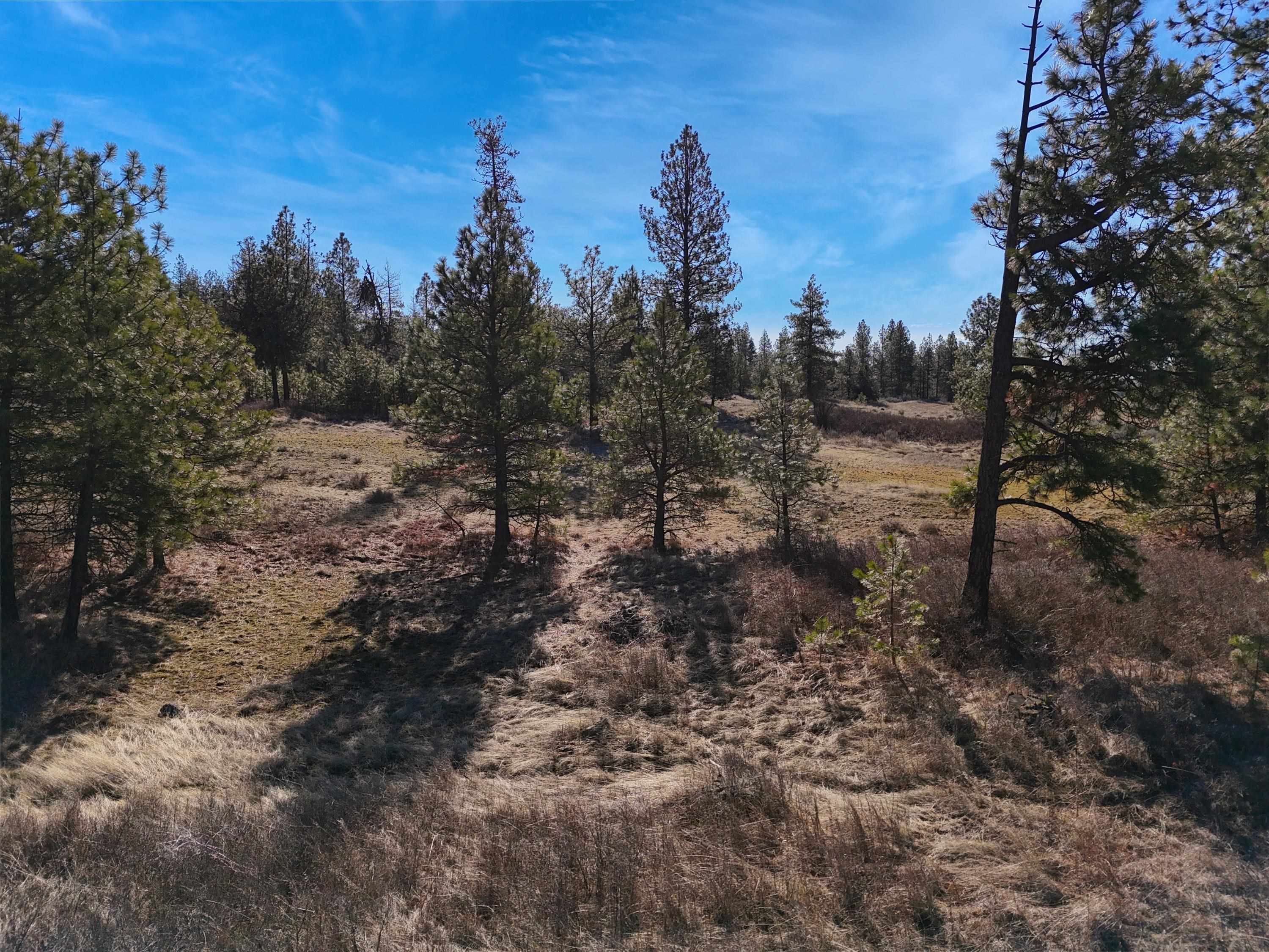 9500 N Wood Rd - Photo 12