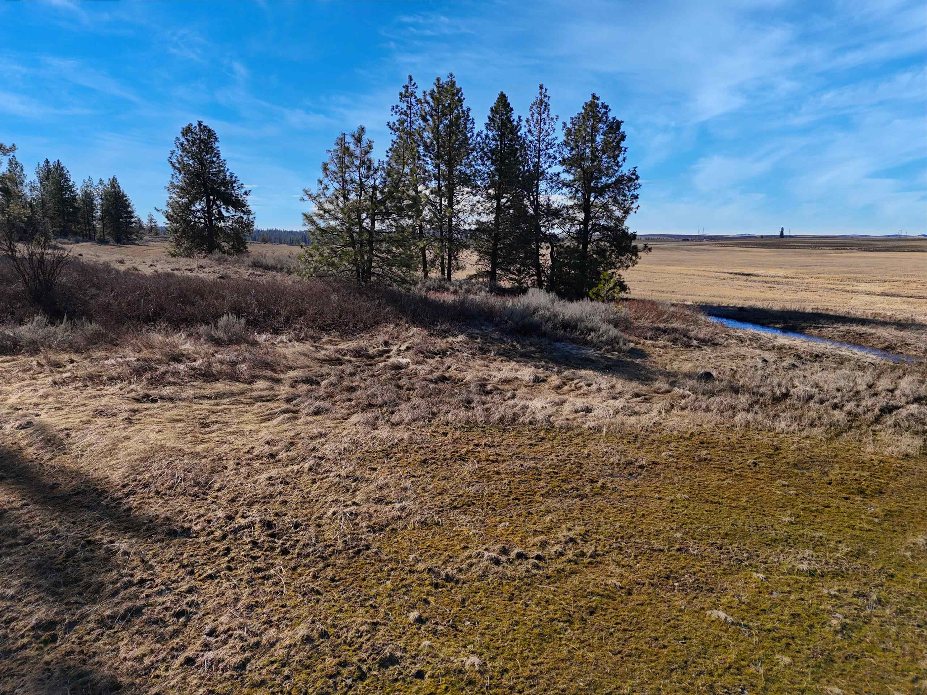 9500 N Wood Rd - Photo 13