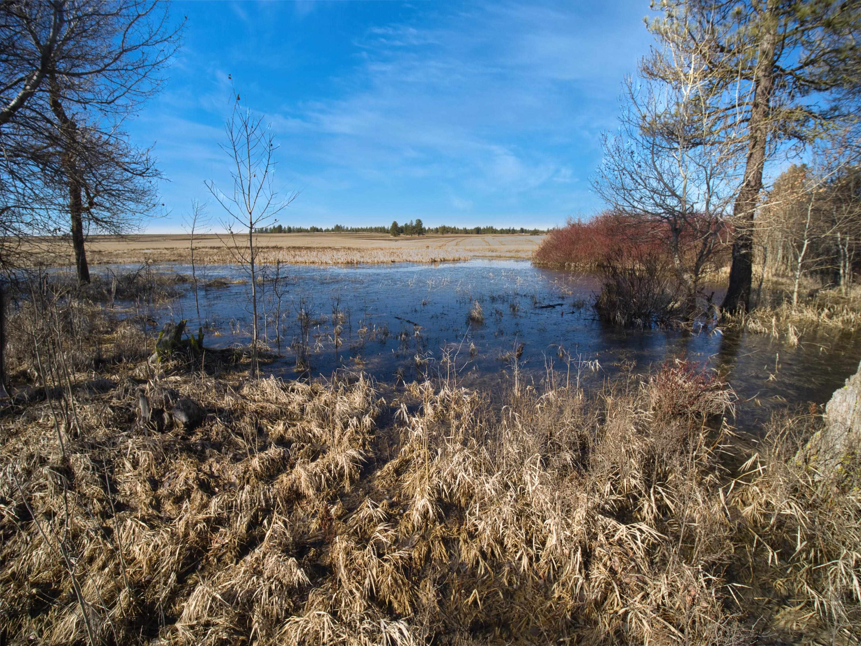 9500 N Wood Rd - Photo 22