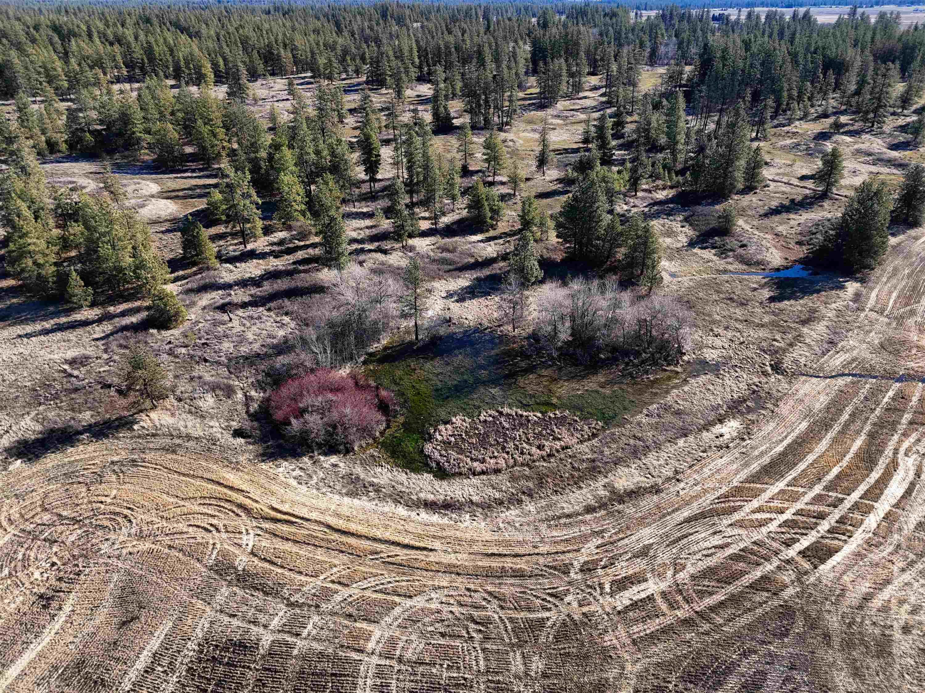 9500 N Wood Rd - Photo 4