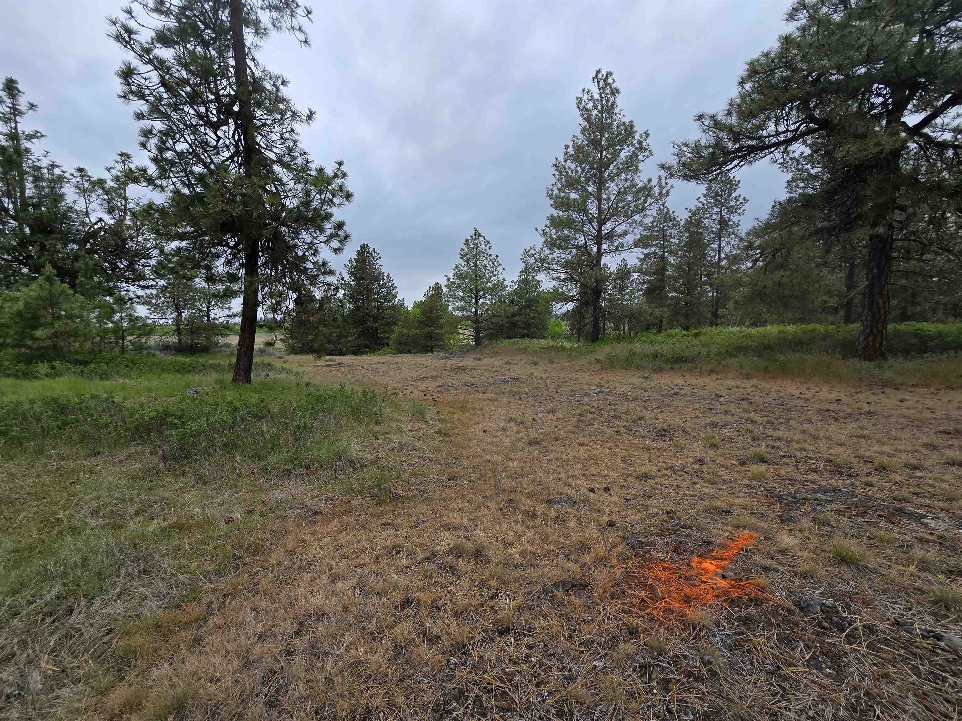 9500 N Wood Rd - Photo 35