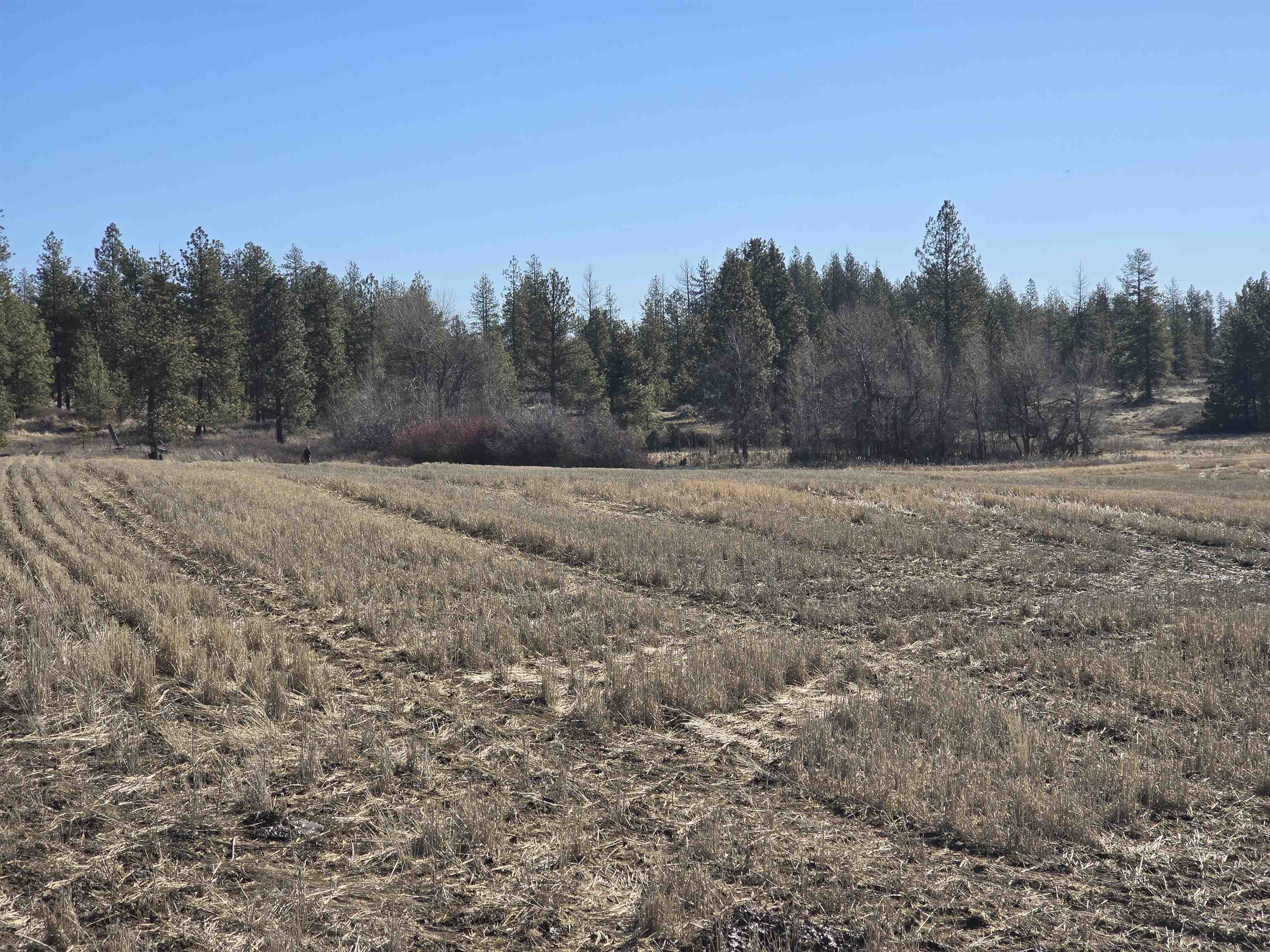 9500 N Wood Rd - Photo 36