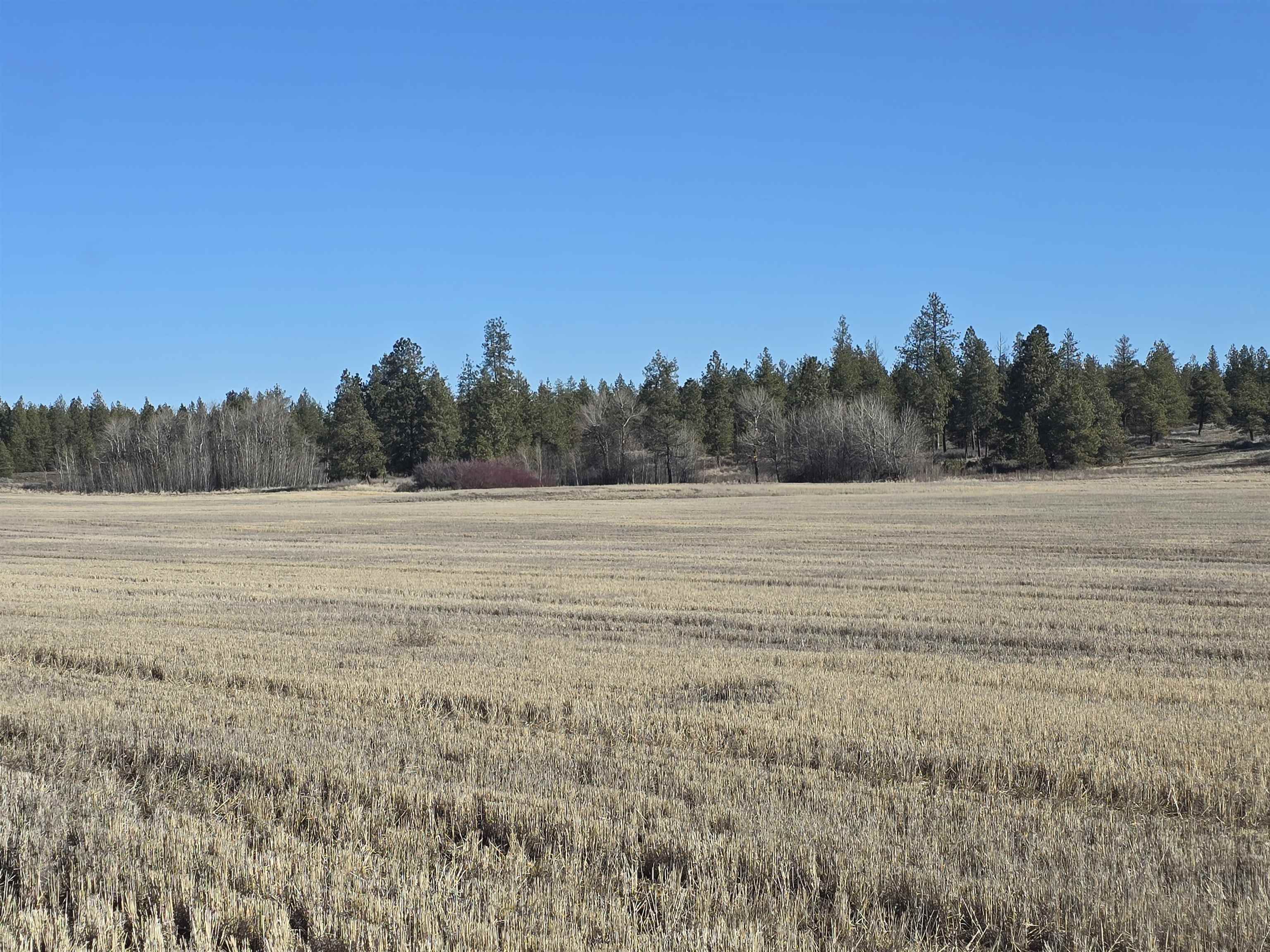 9500 N Wood Rd - Photo 37