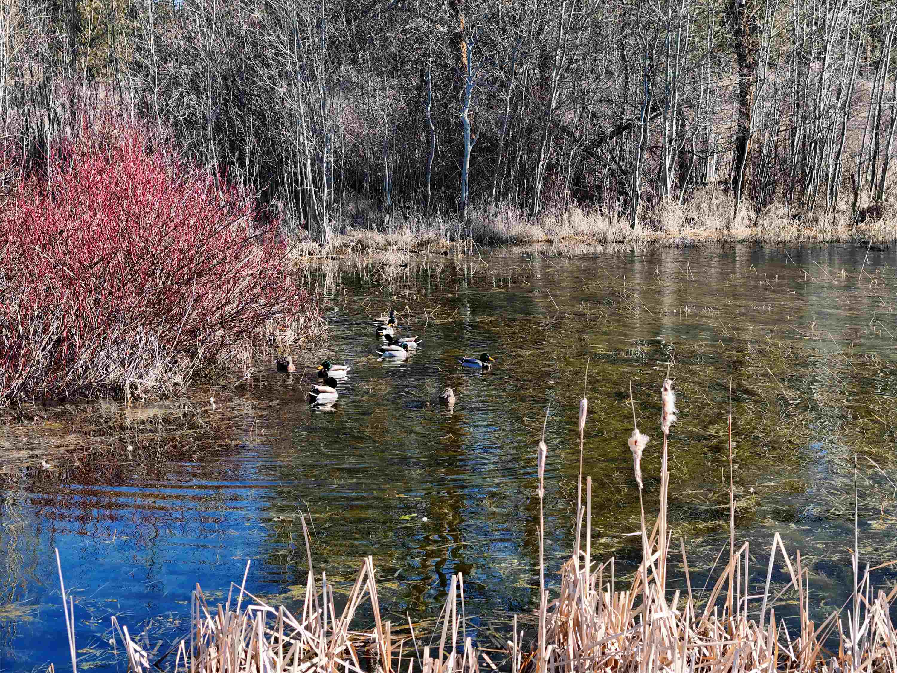 9500 N Wood Rd - Photo 6