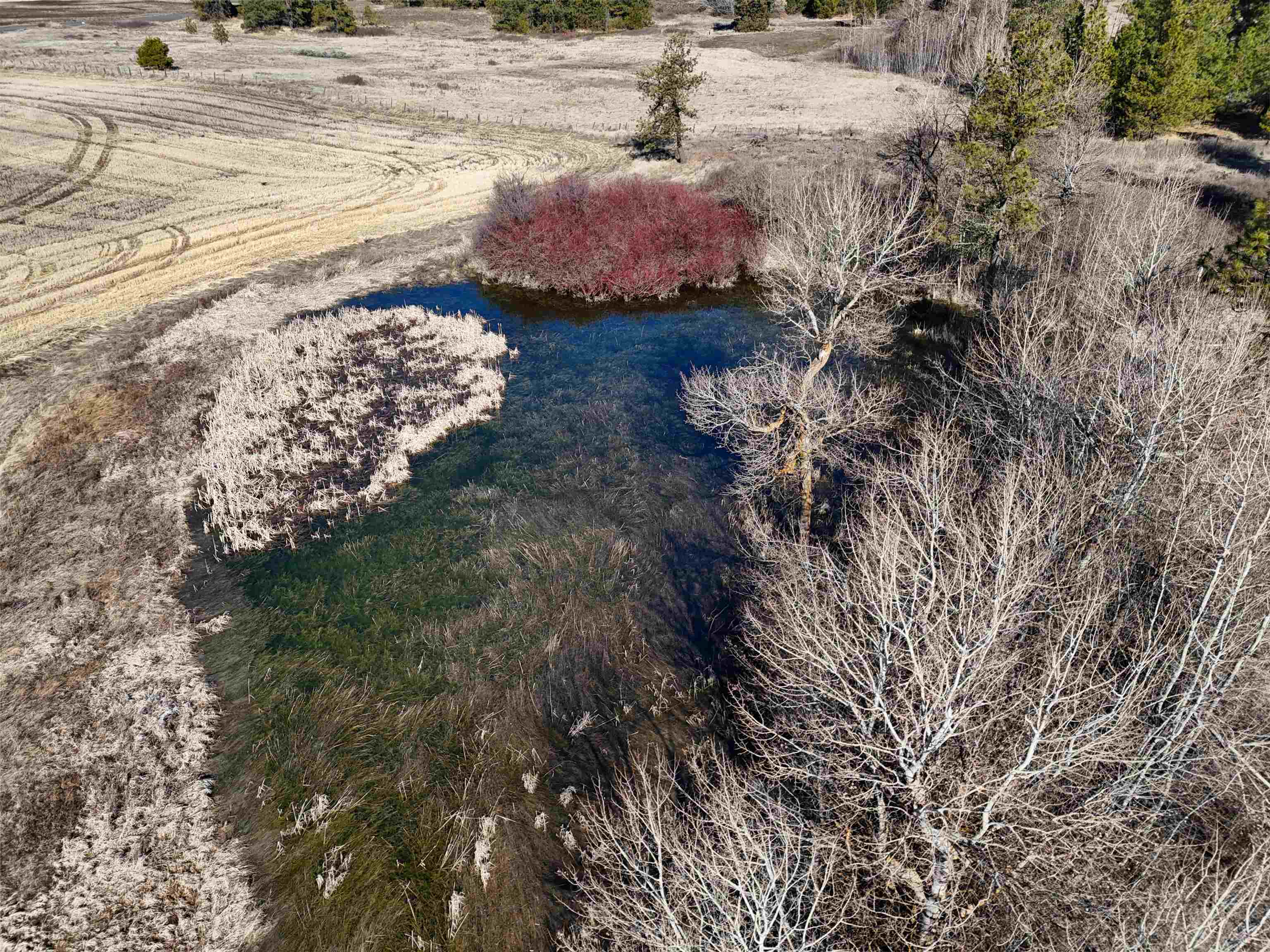9500 N Wood Rd - Photo 9