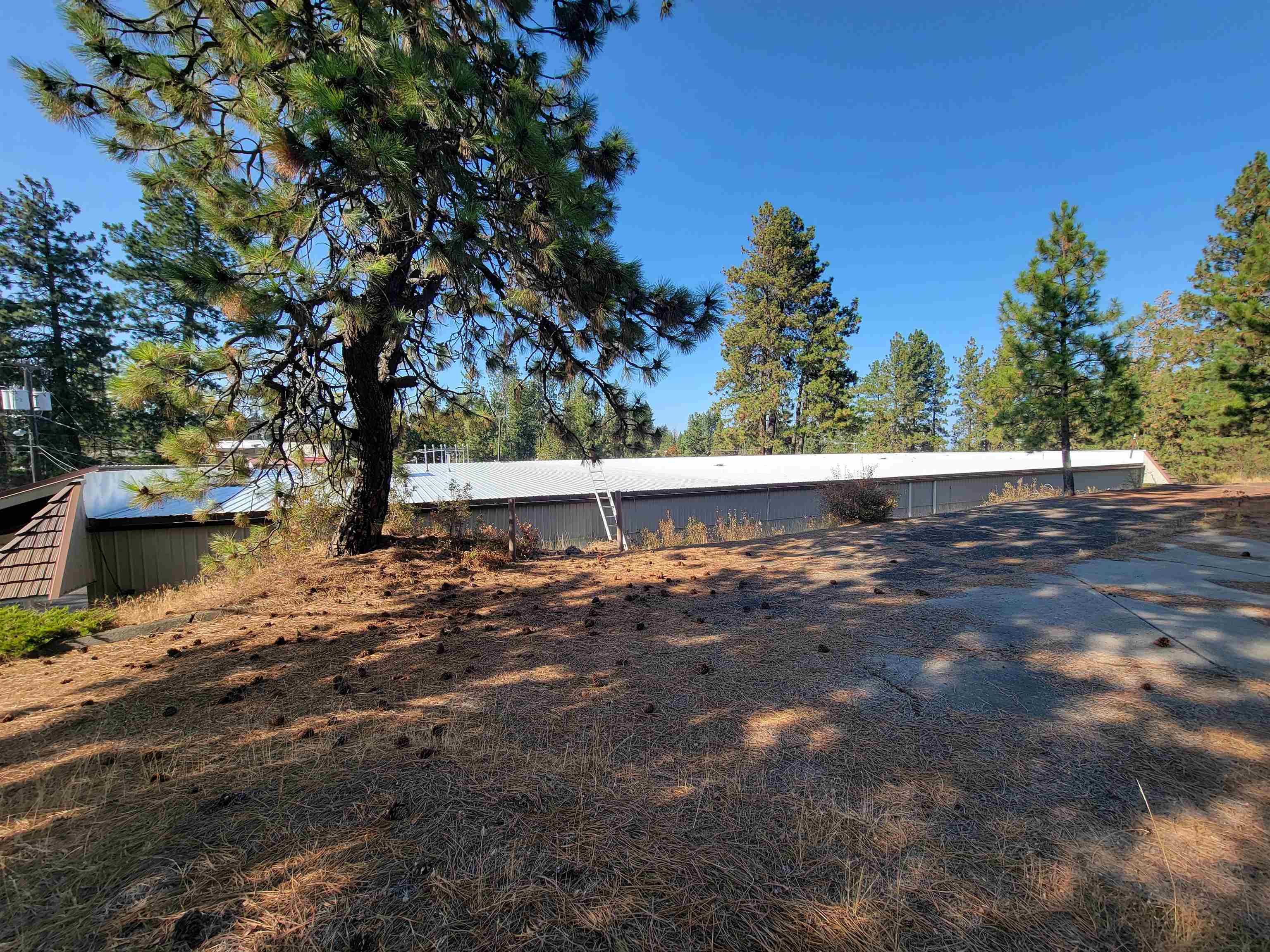 1611 S Geiger Blvd - Photo 6