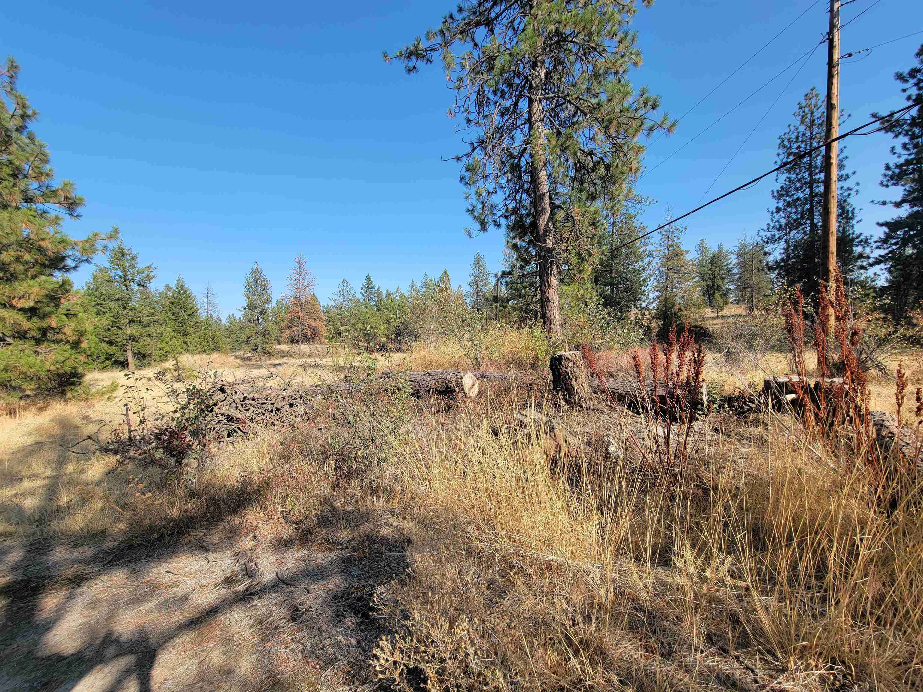 1611 S Geiger Blvd - Photo 7