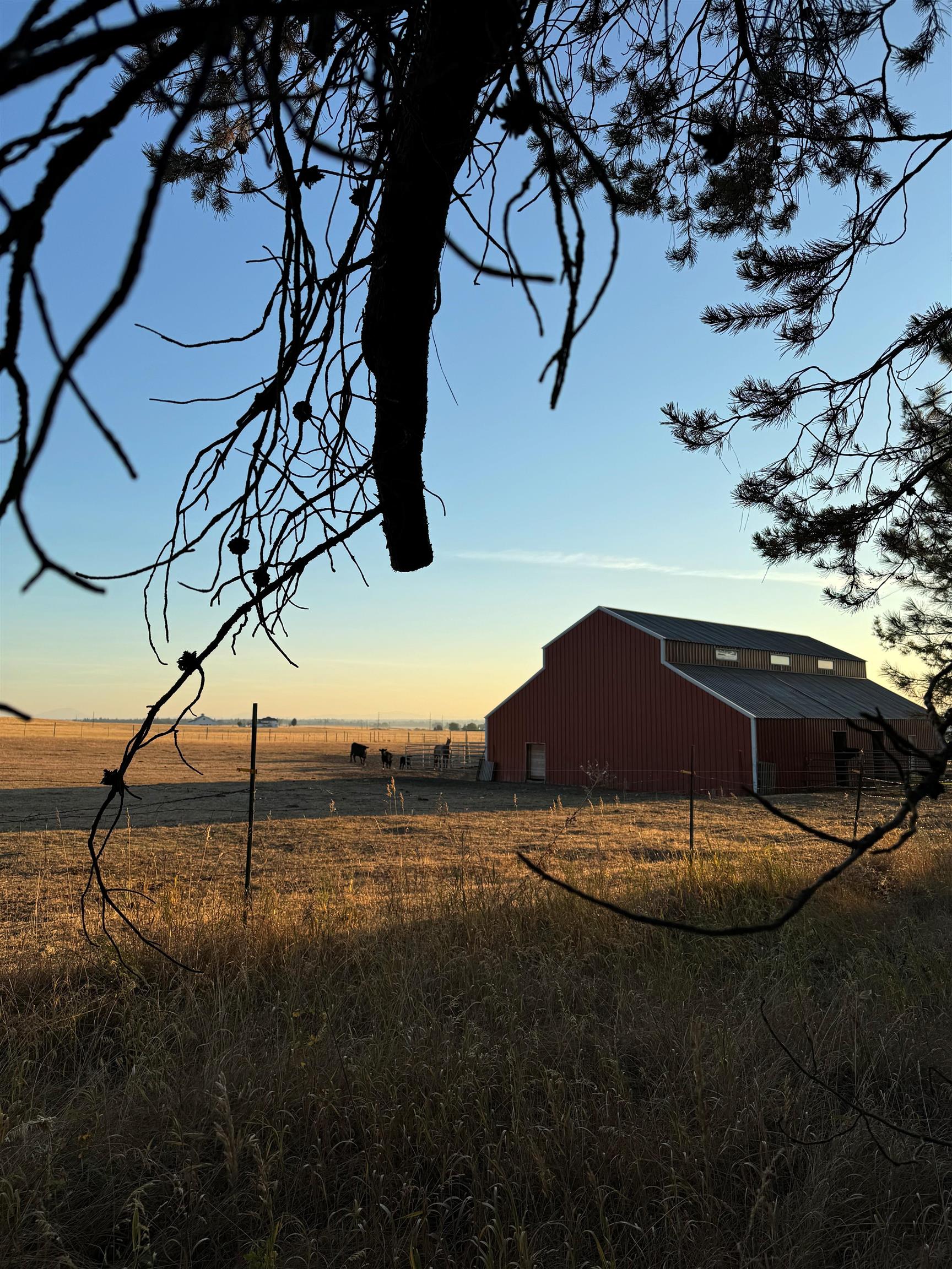21411 N Spotted Rd - Photo 45