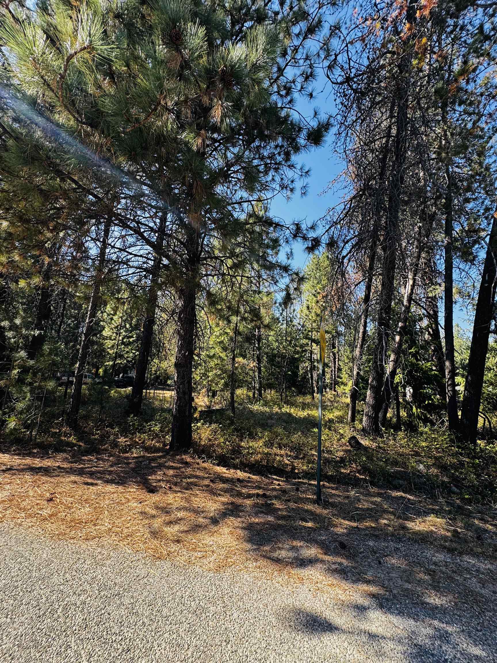 XXX N LAKESIDE DR Dr - Photo 8