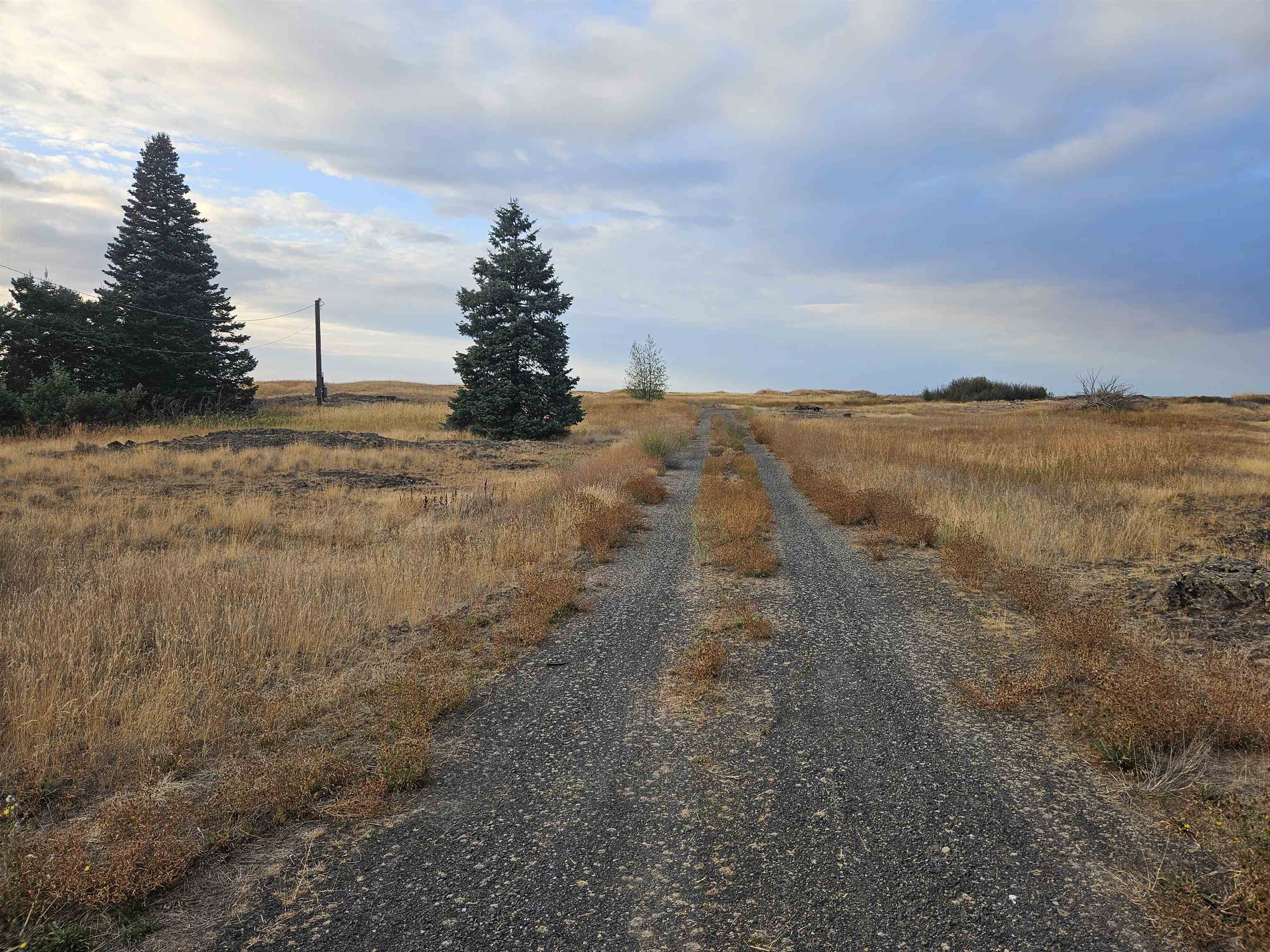26210 W Hallett Rd - Photo 1