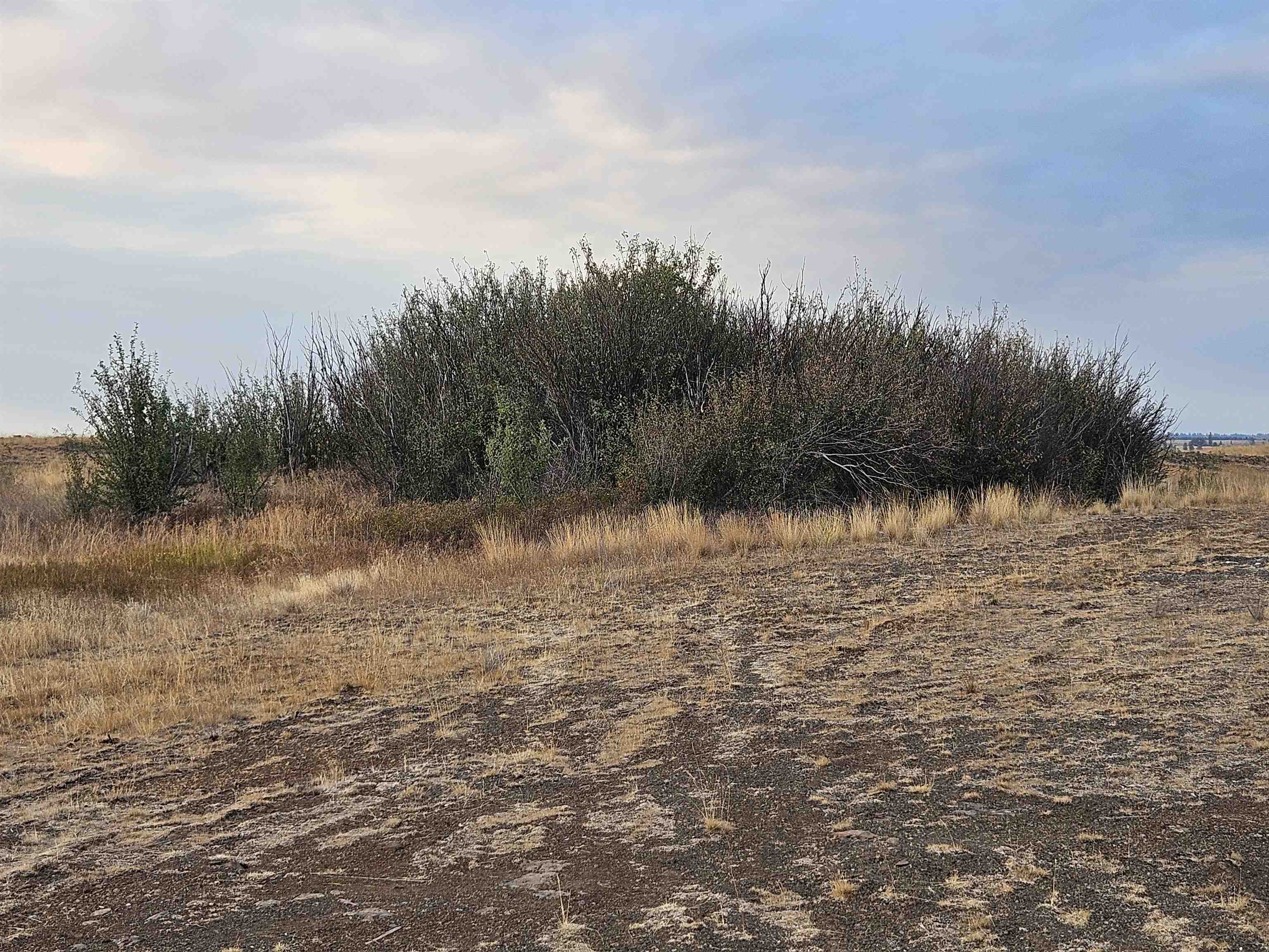 26210 W Hallett Rd - Photo 2
