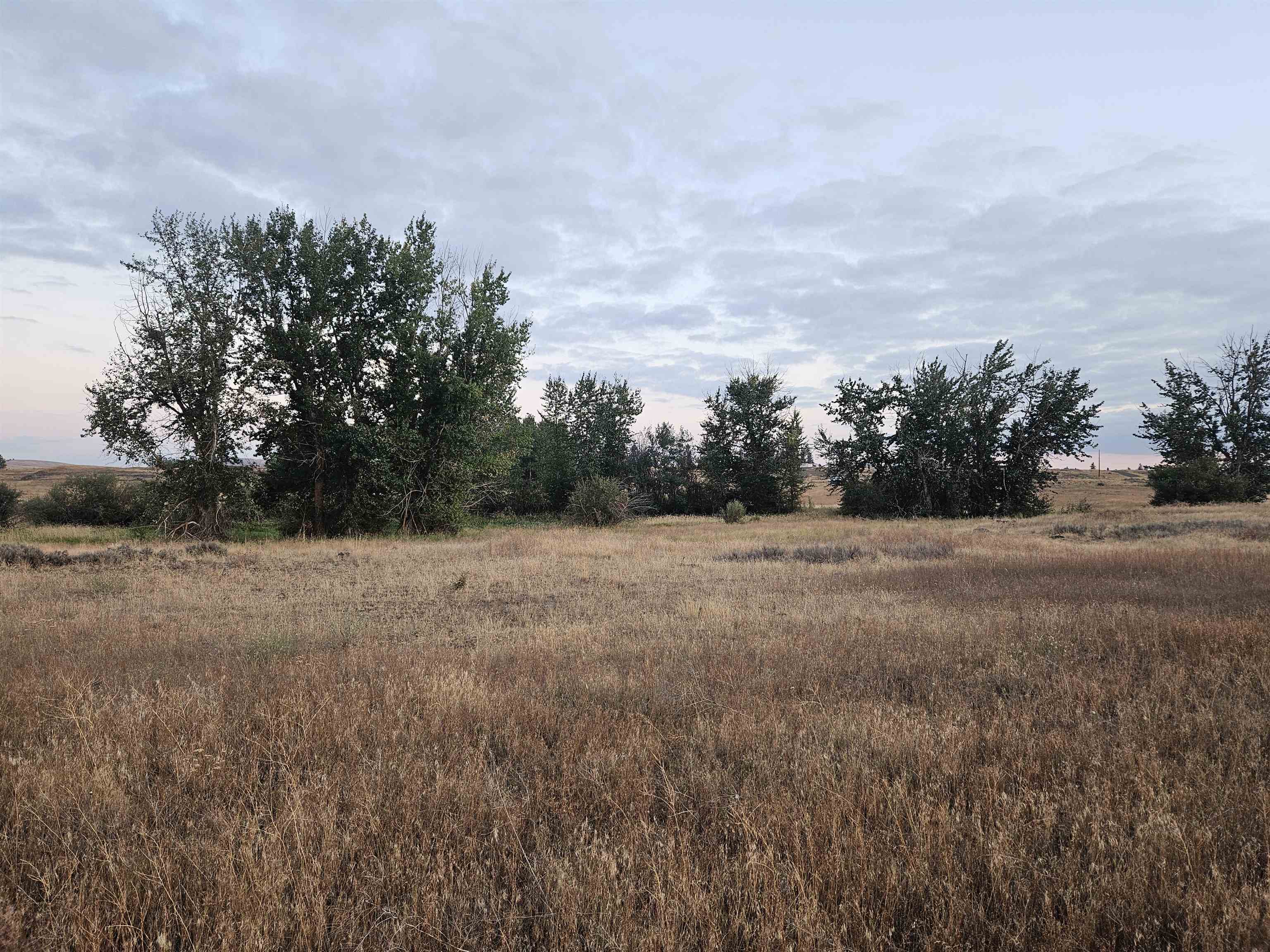 26210 W Hallett Rd - Photo 14