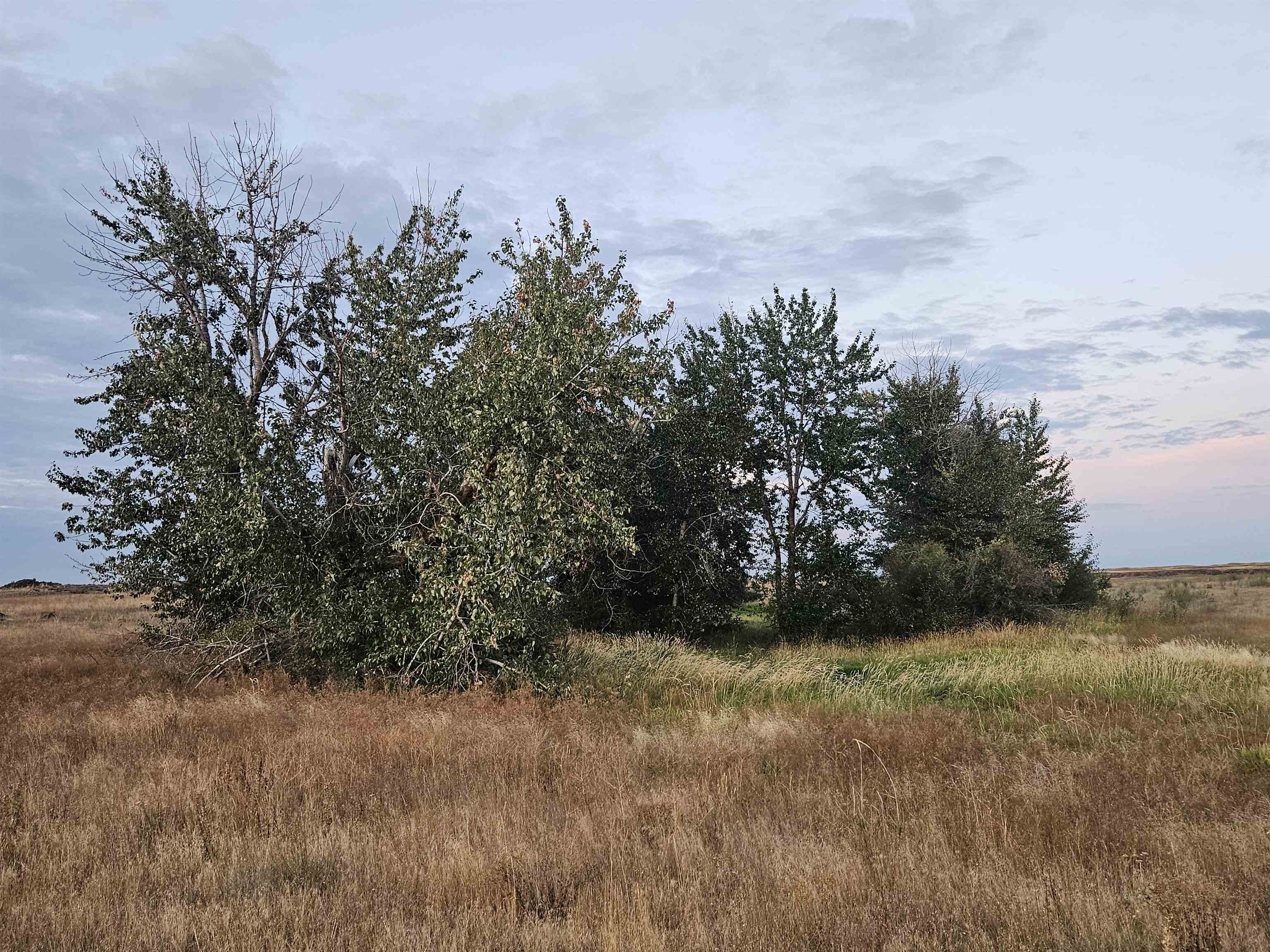 26210 W Hallett Rd - Photo 15
