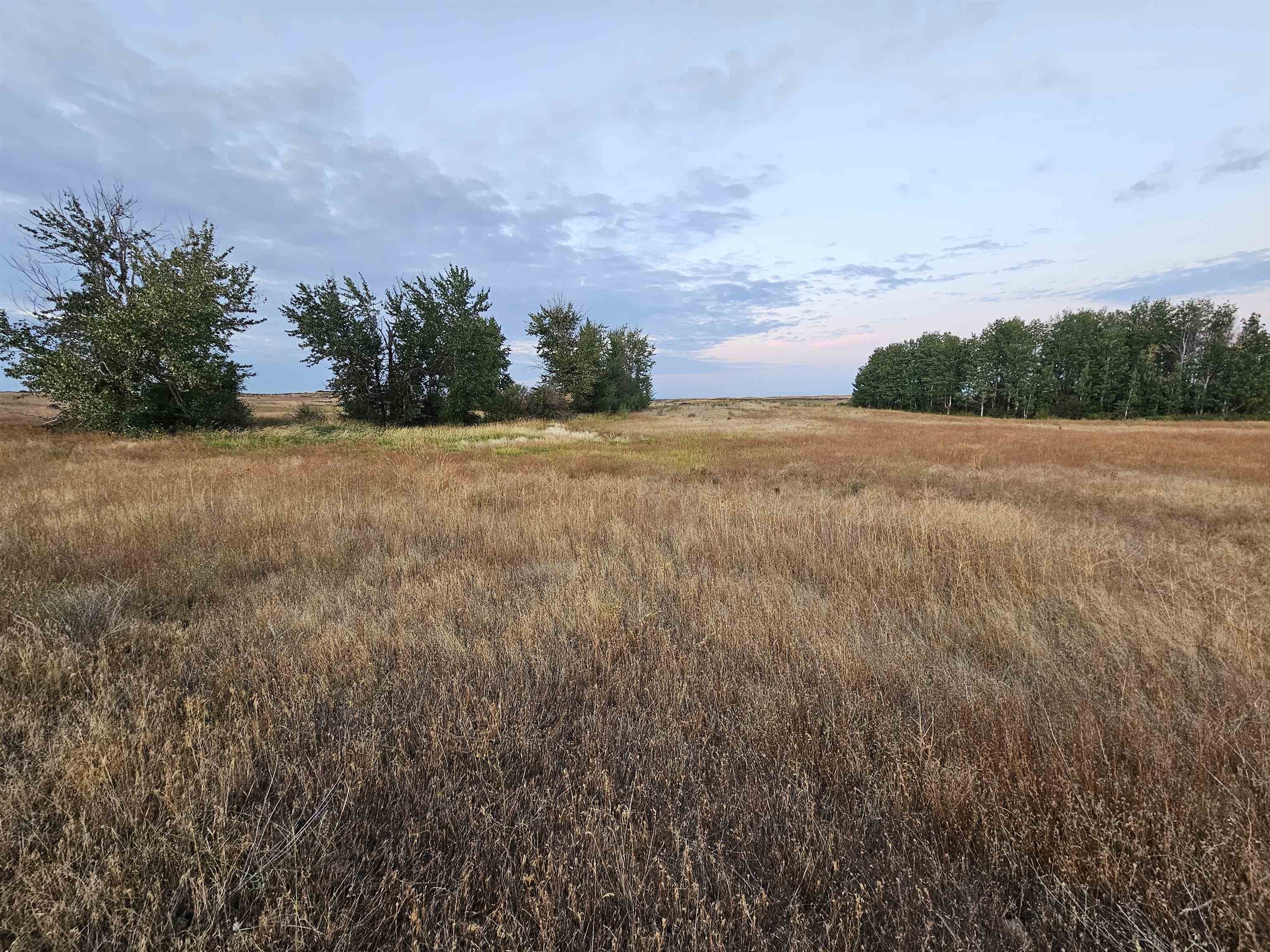 26210 W Hallett Rd - Photo 16