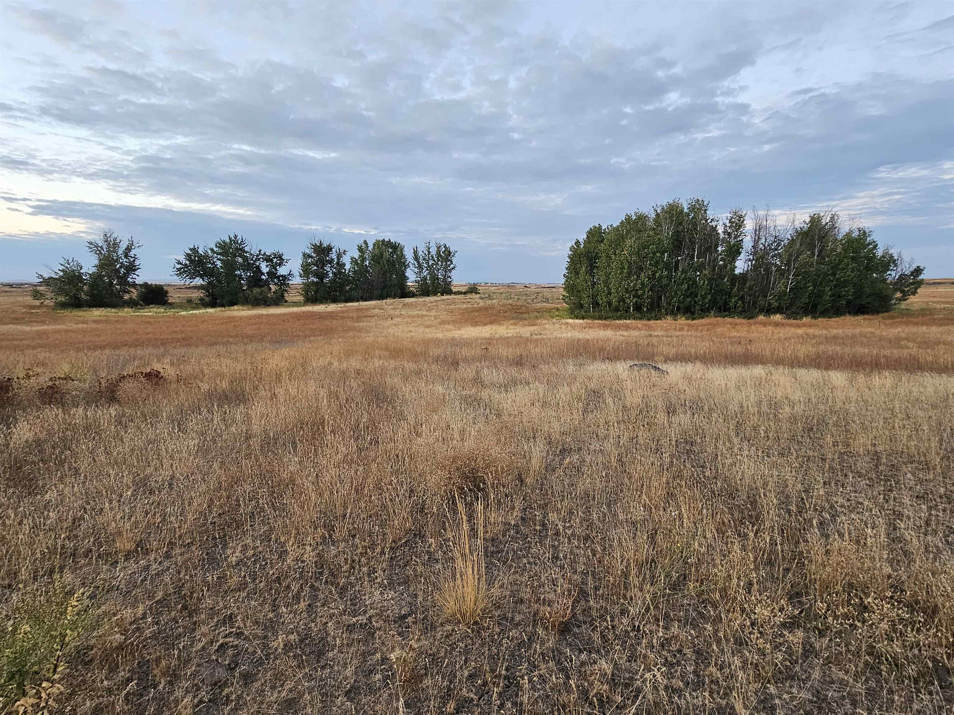 26210 W Hallett Rd - Photo 17