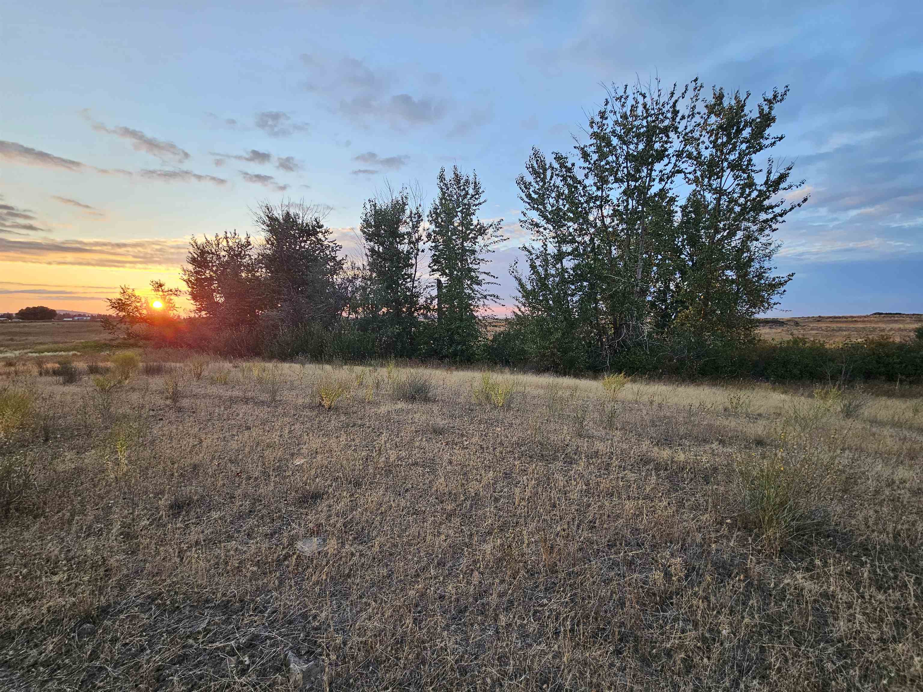 26210 W Hallett Rd - Photo 9