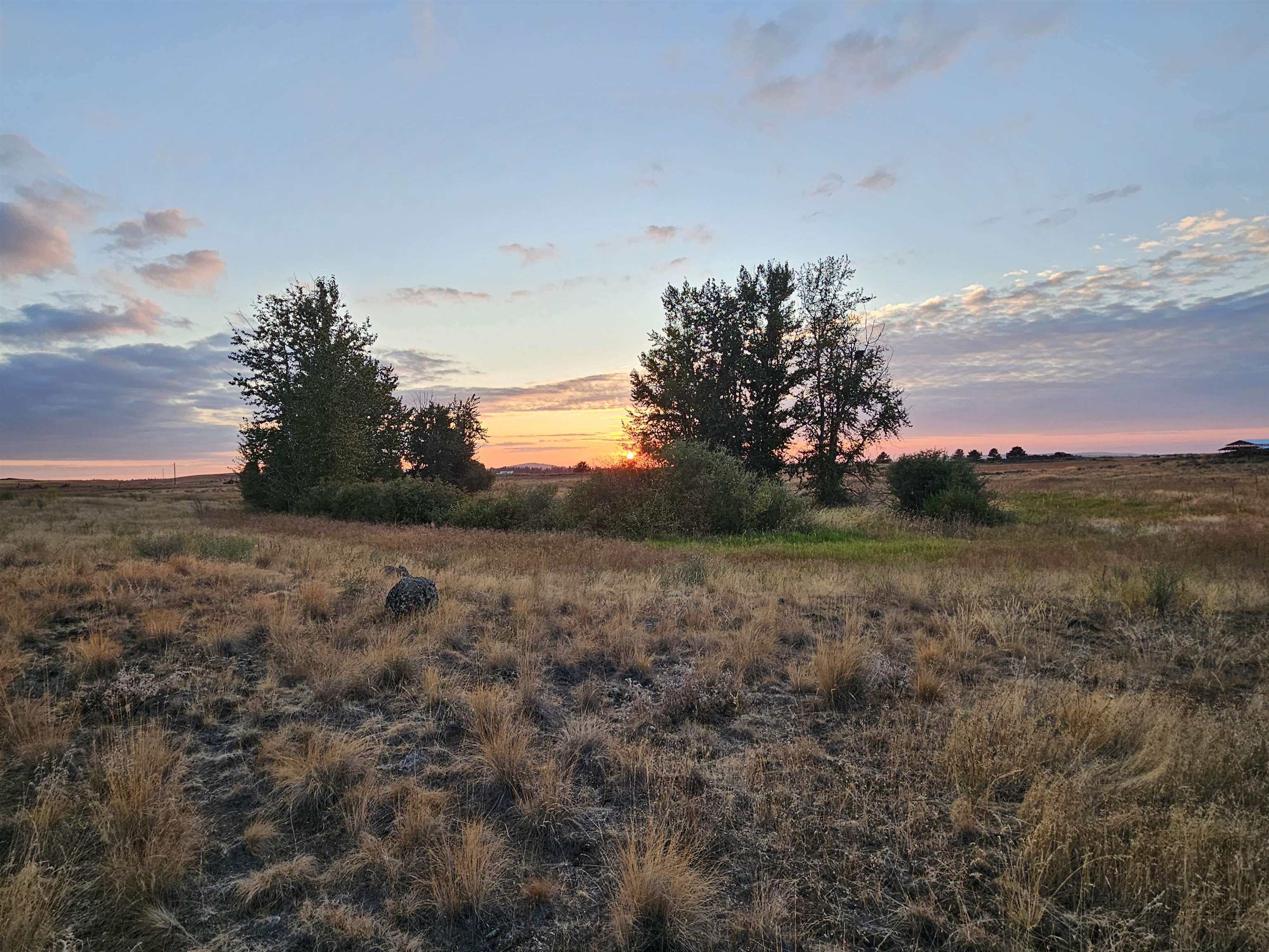 26210 W Hallett Rd - Photo 10