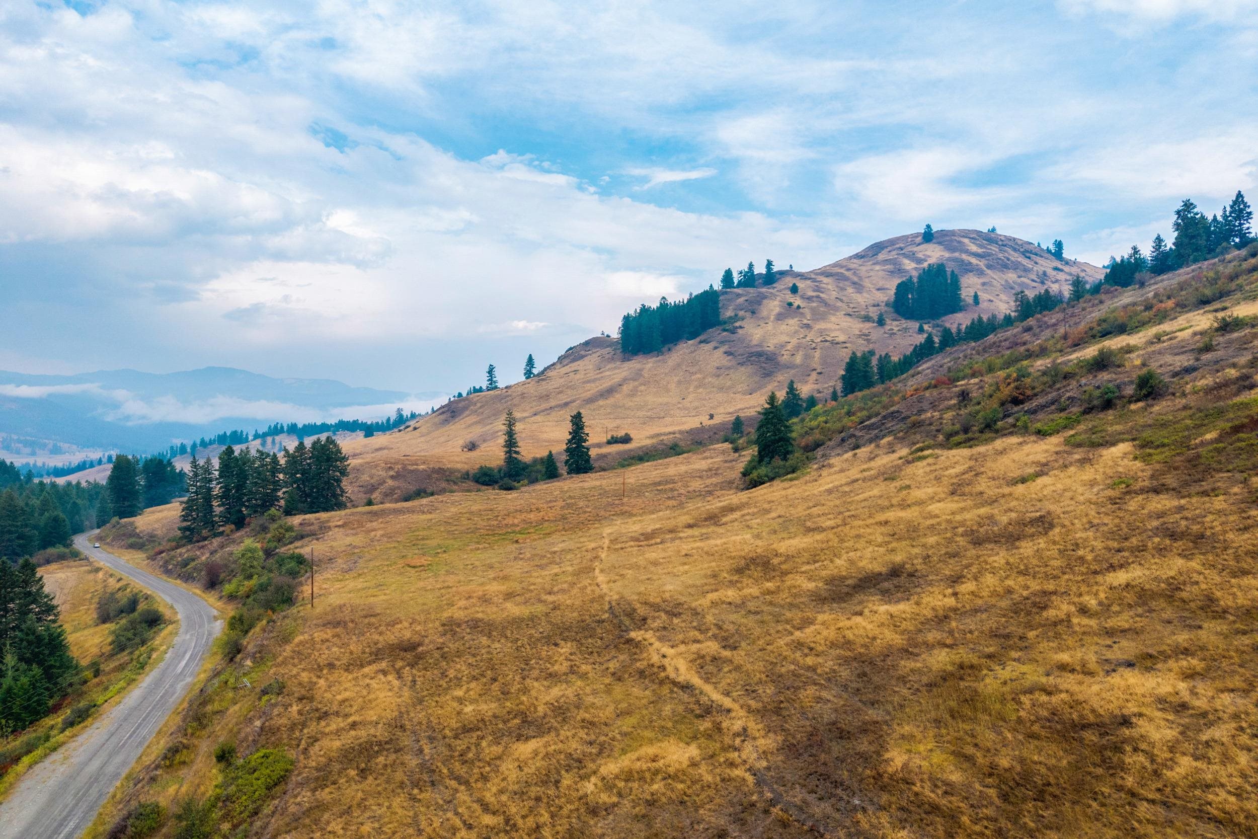 361 Lone Ranch Creek Rd - Photo 33