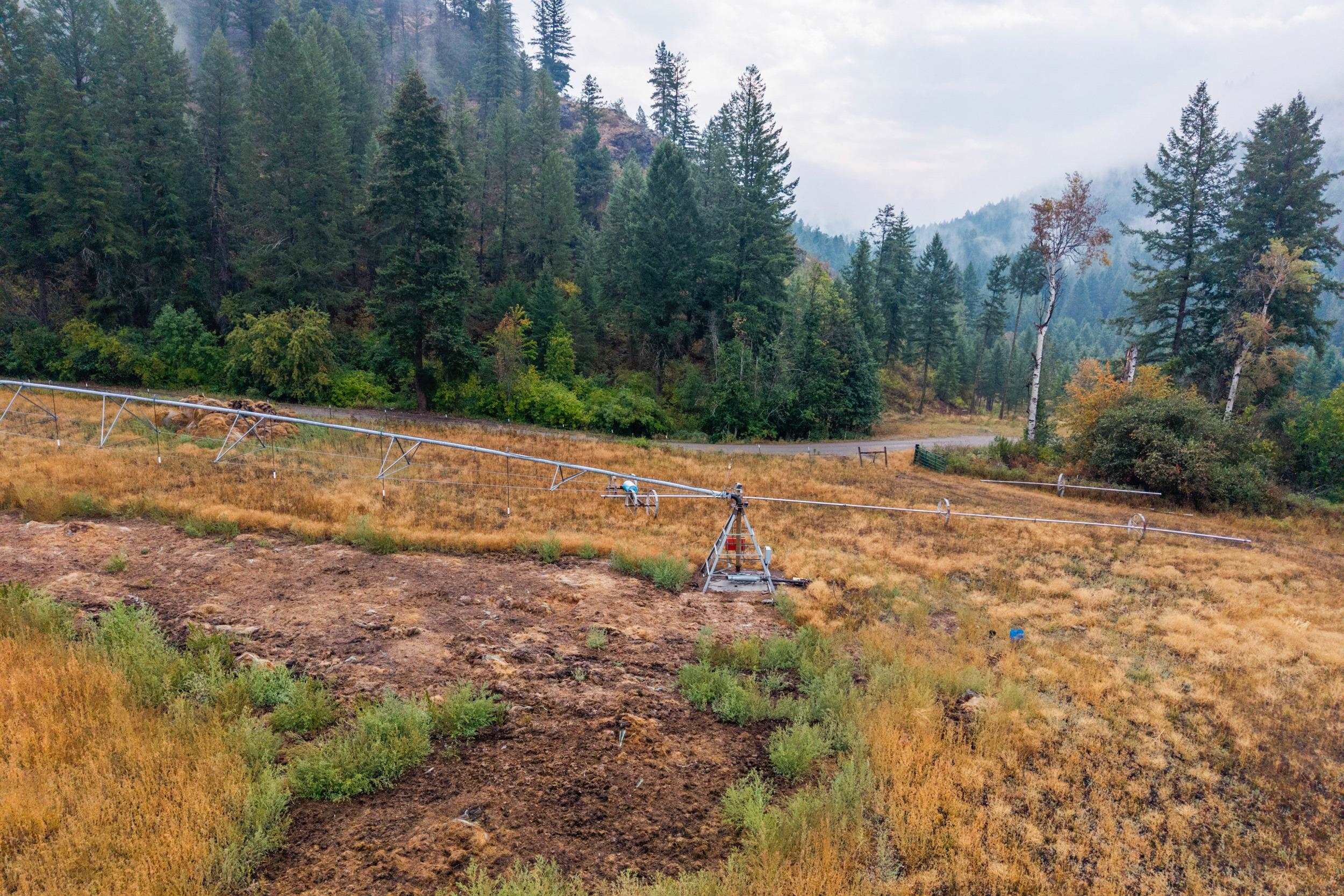 361 Lone Ranch Creek Rd - Photo 9