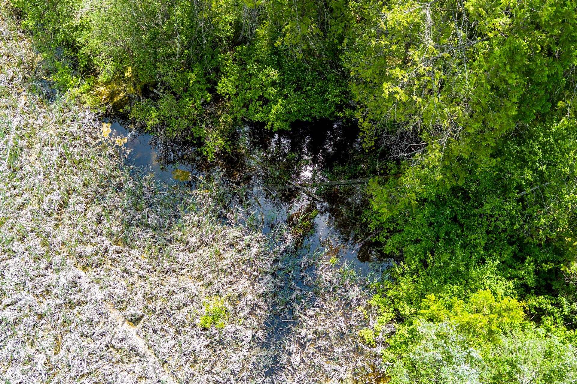 3124 Orient Cutoff Rd - Photo 19