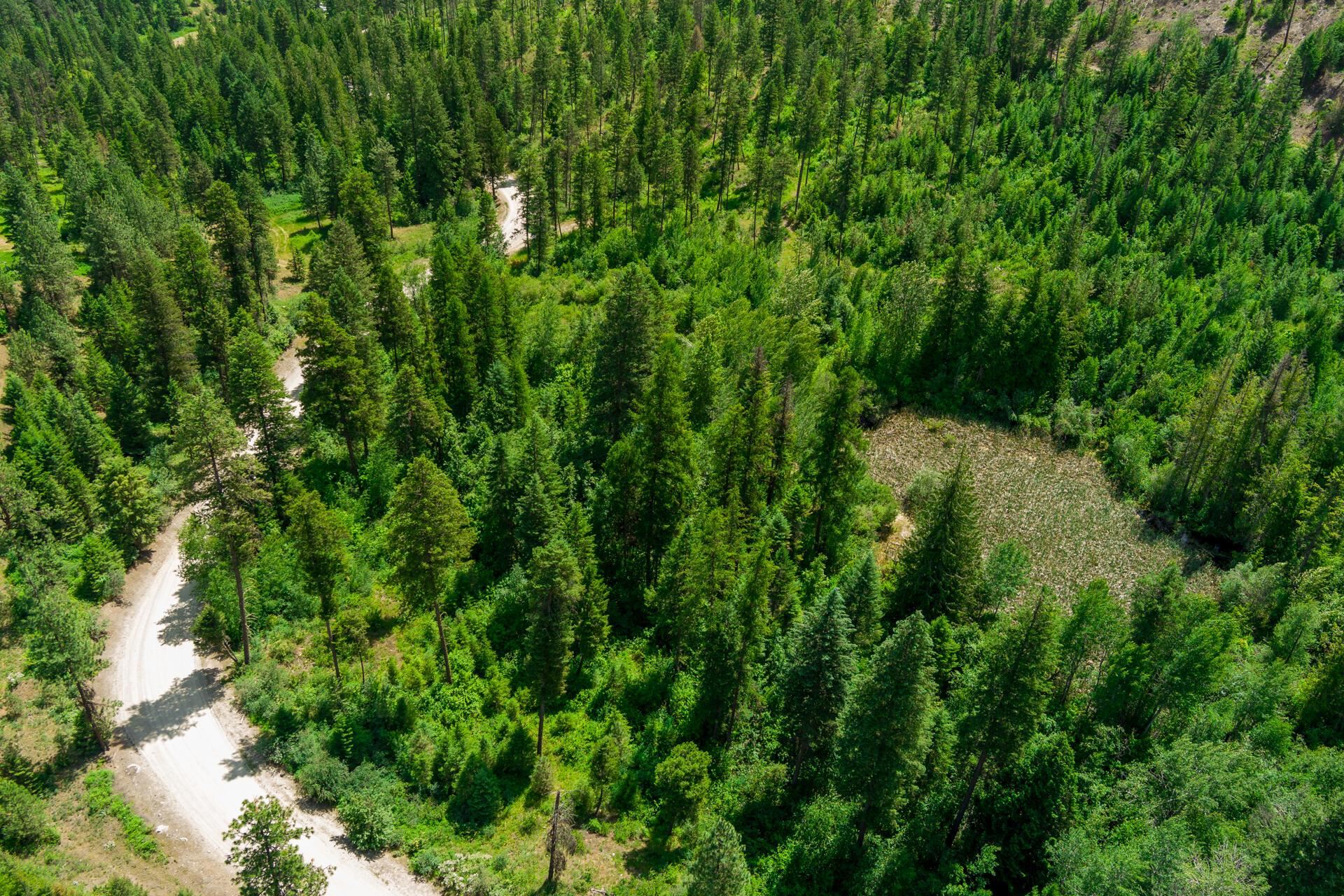 3124 Orient Cutoff Rd - Photo 3