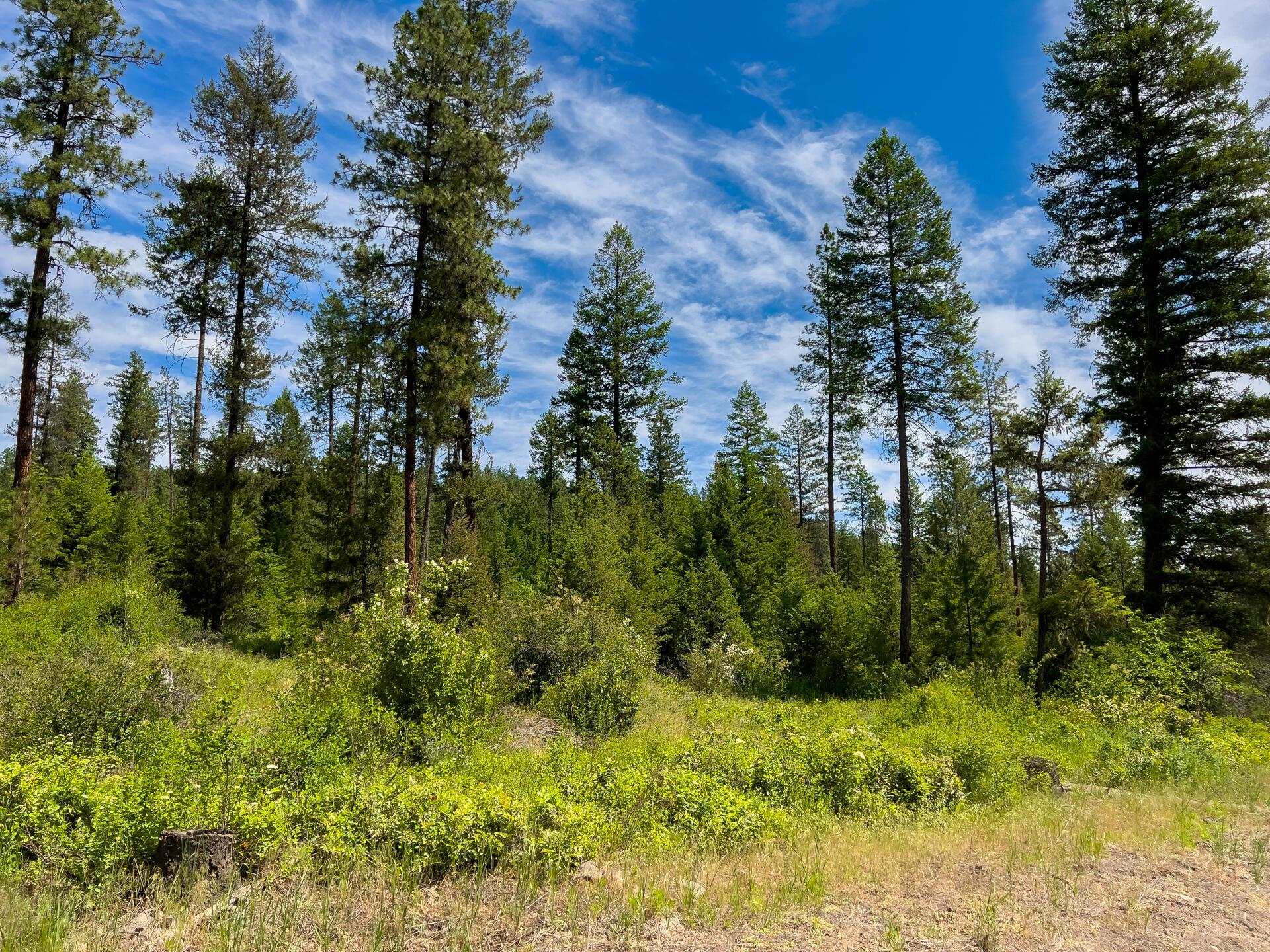 3124 Orient Cutoff Rd - Photo 27