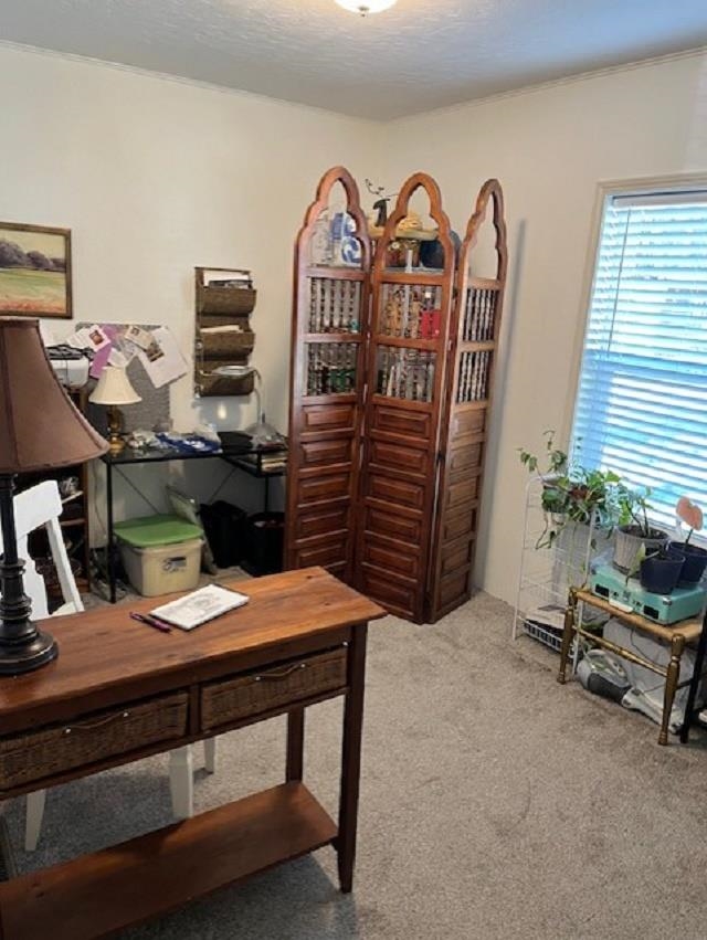 5 Columbia Dr - Photo 22