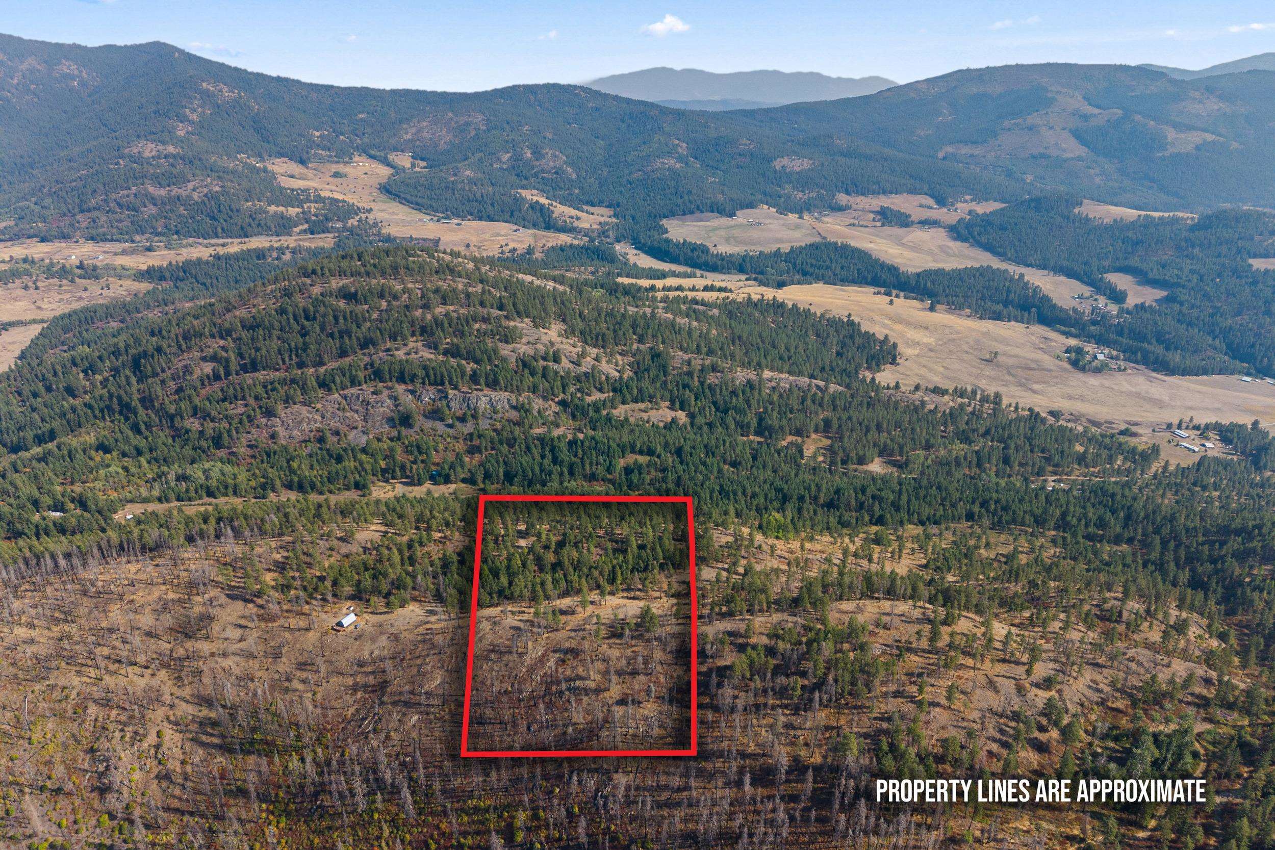 17XX Orin Rice Rd - Photo 23