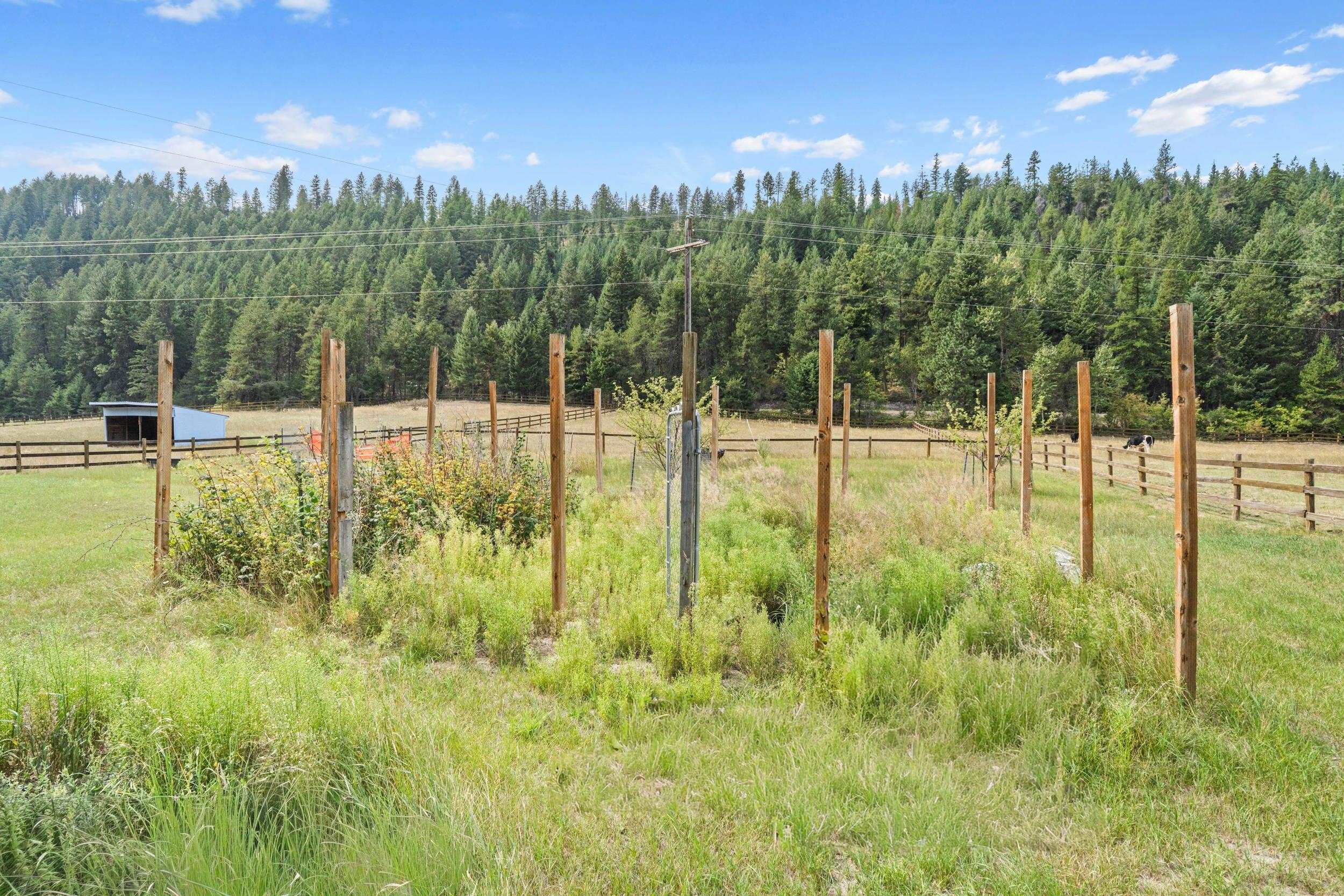 1334 Clugston Onion-Creek Rd - Photo 46