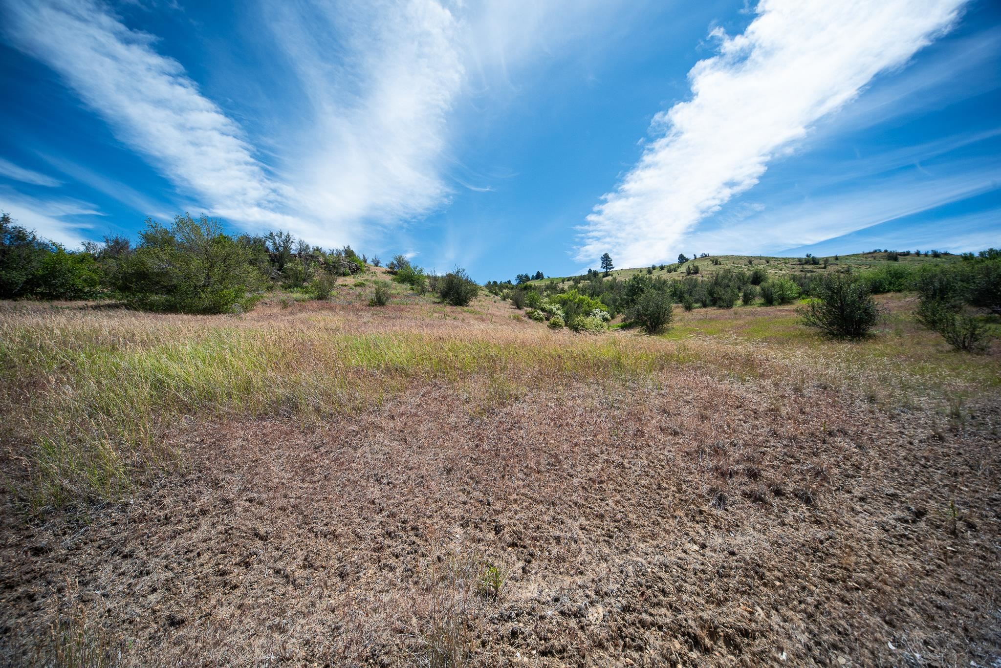 20913 E Jesse Ln - Photo 11