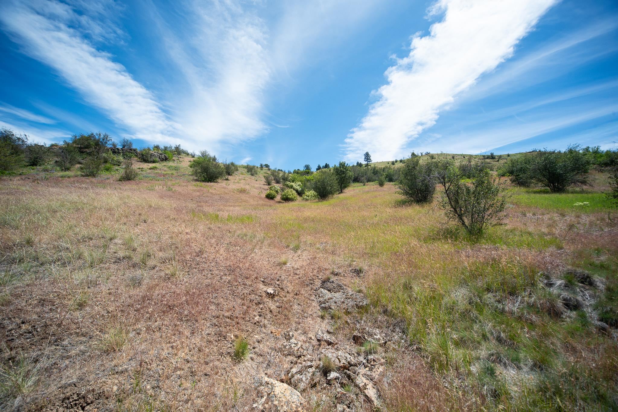 20913 E Jesse Ln - Photo 12