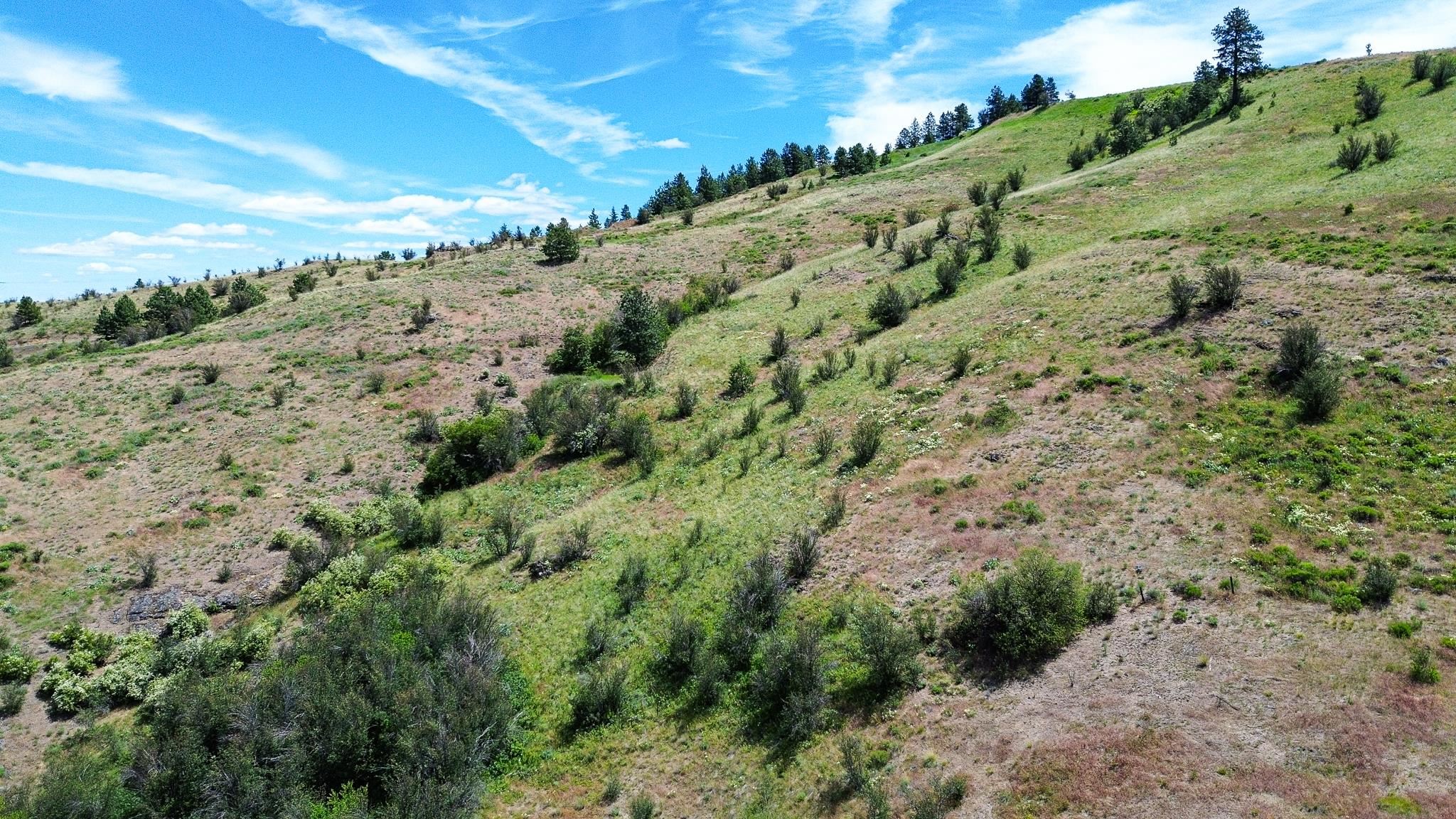 20913 E Jesse Ln - Photo 7