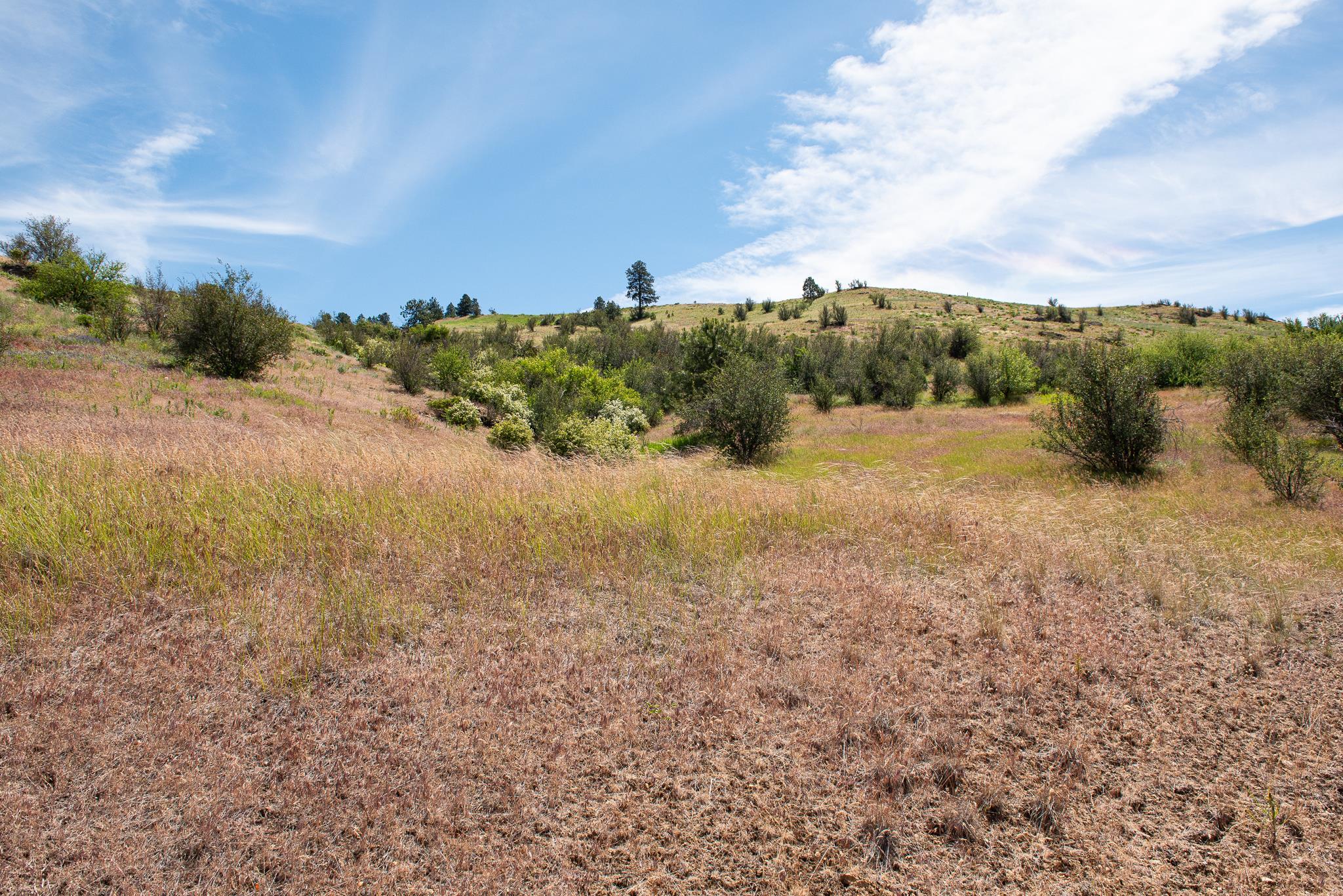 20913 E Jesse Ln - Photo 9