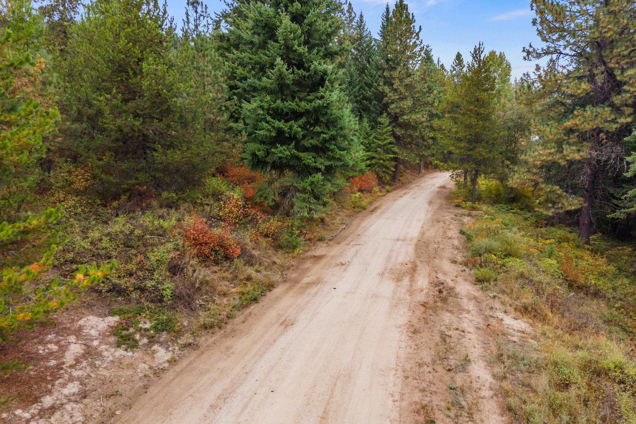 1263 Valley View Dr - Photo 3