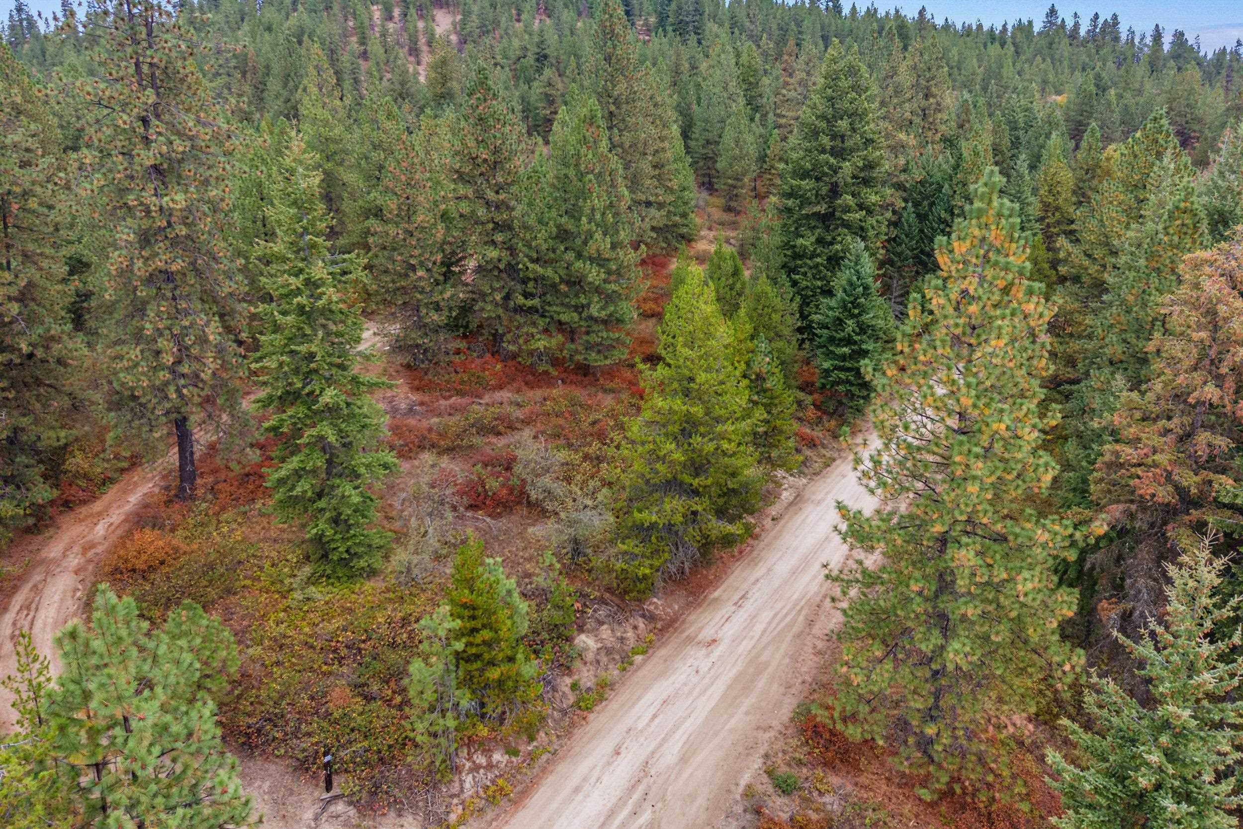 1263 Valley View Dr - Photo 4