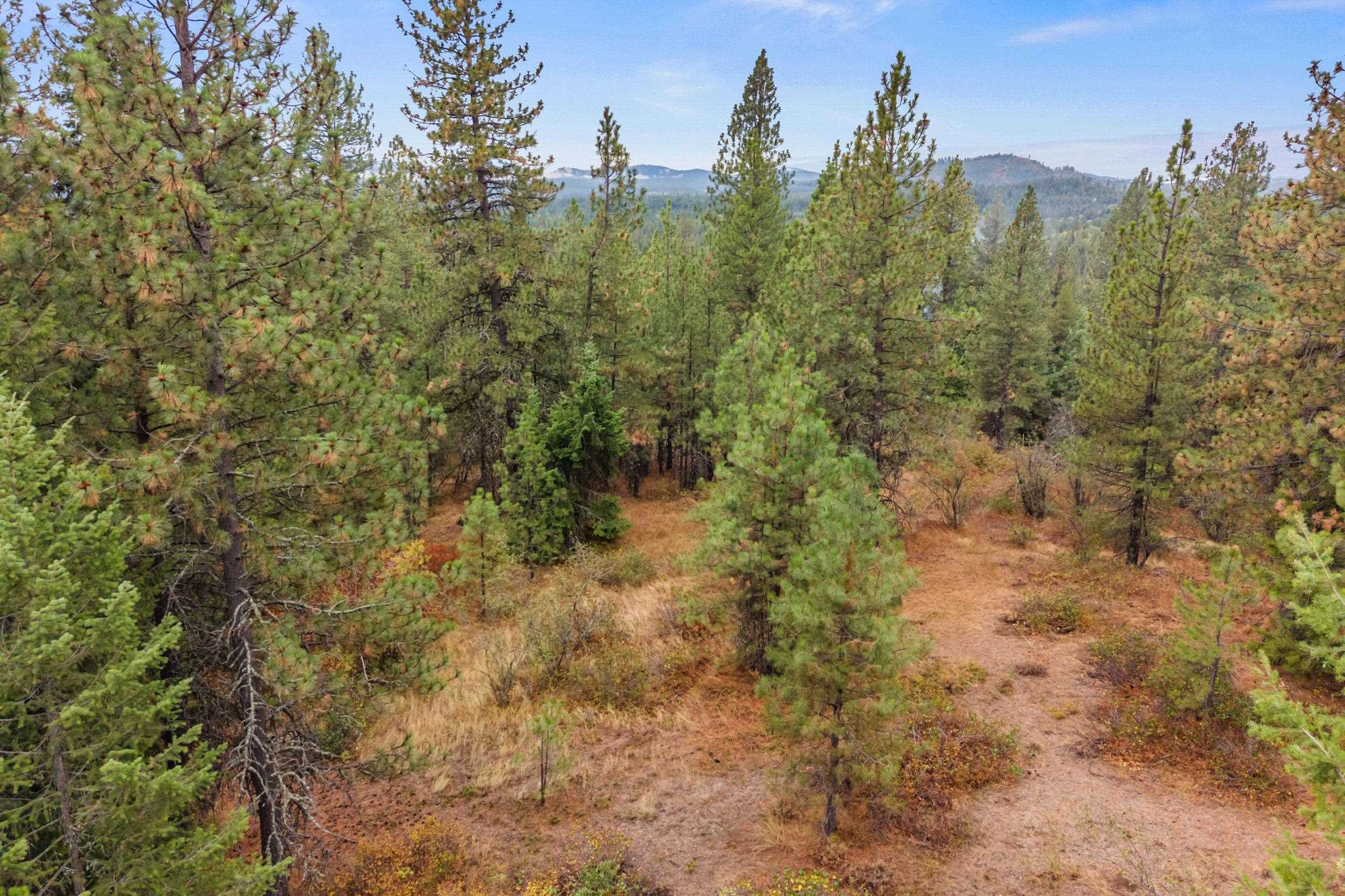 1263 Valley View Dr - Photo 7