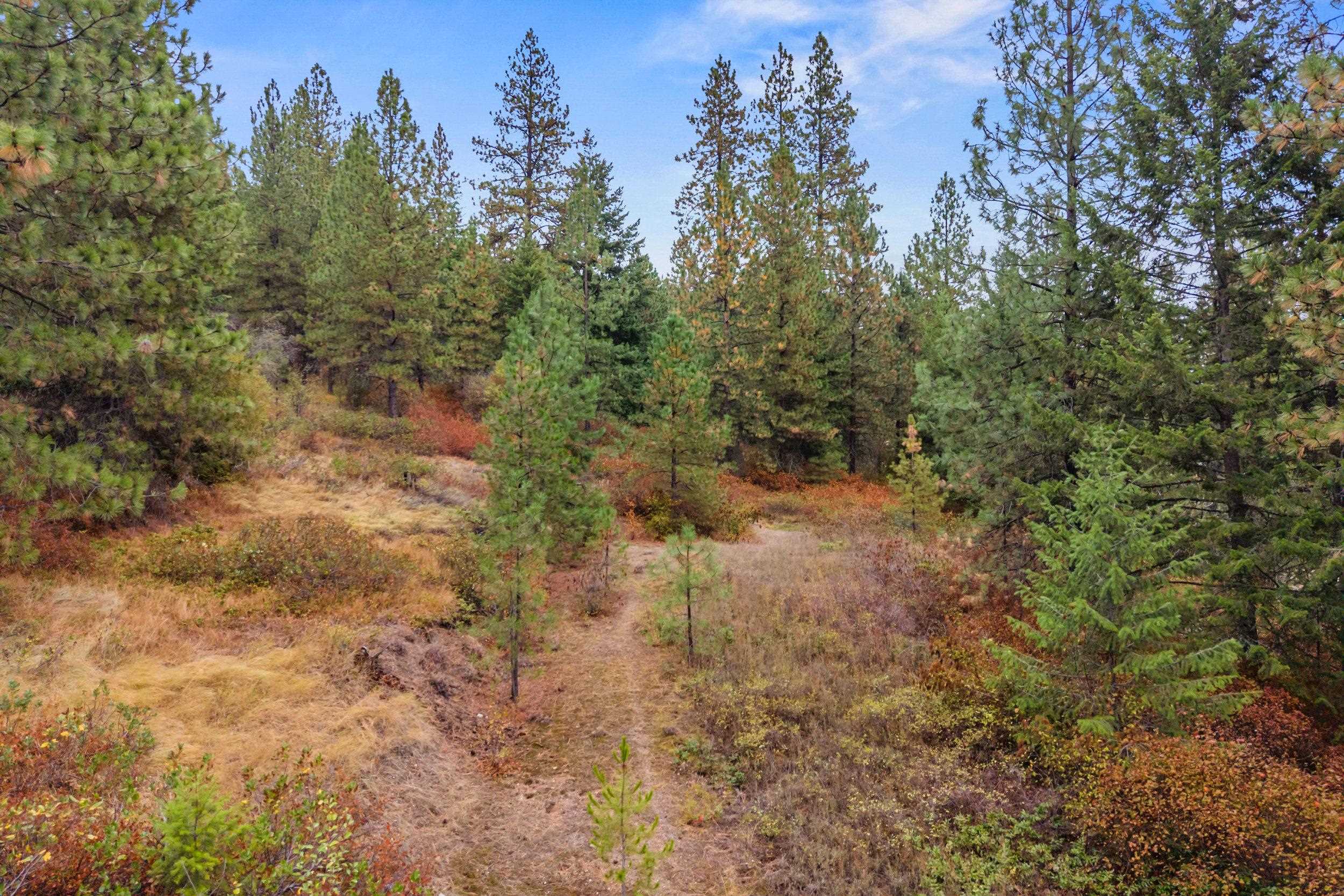 1263 Valley View Dr - Photo 8