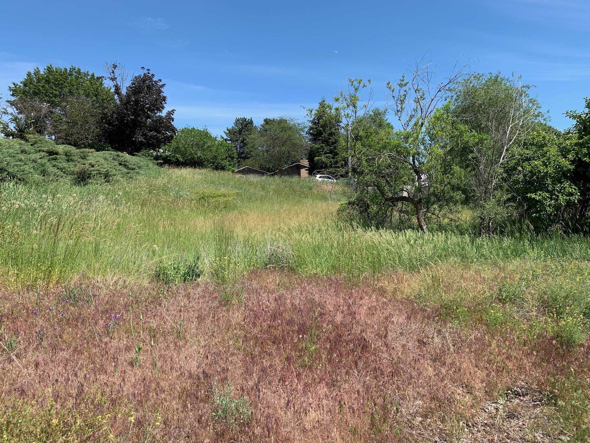 N Willow Dr - Photo 4